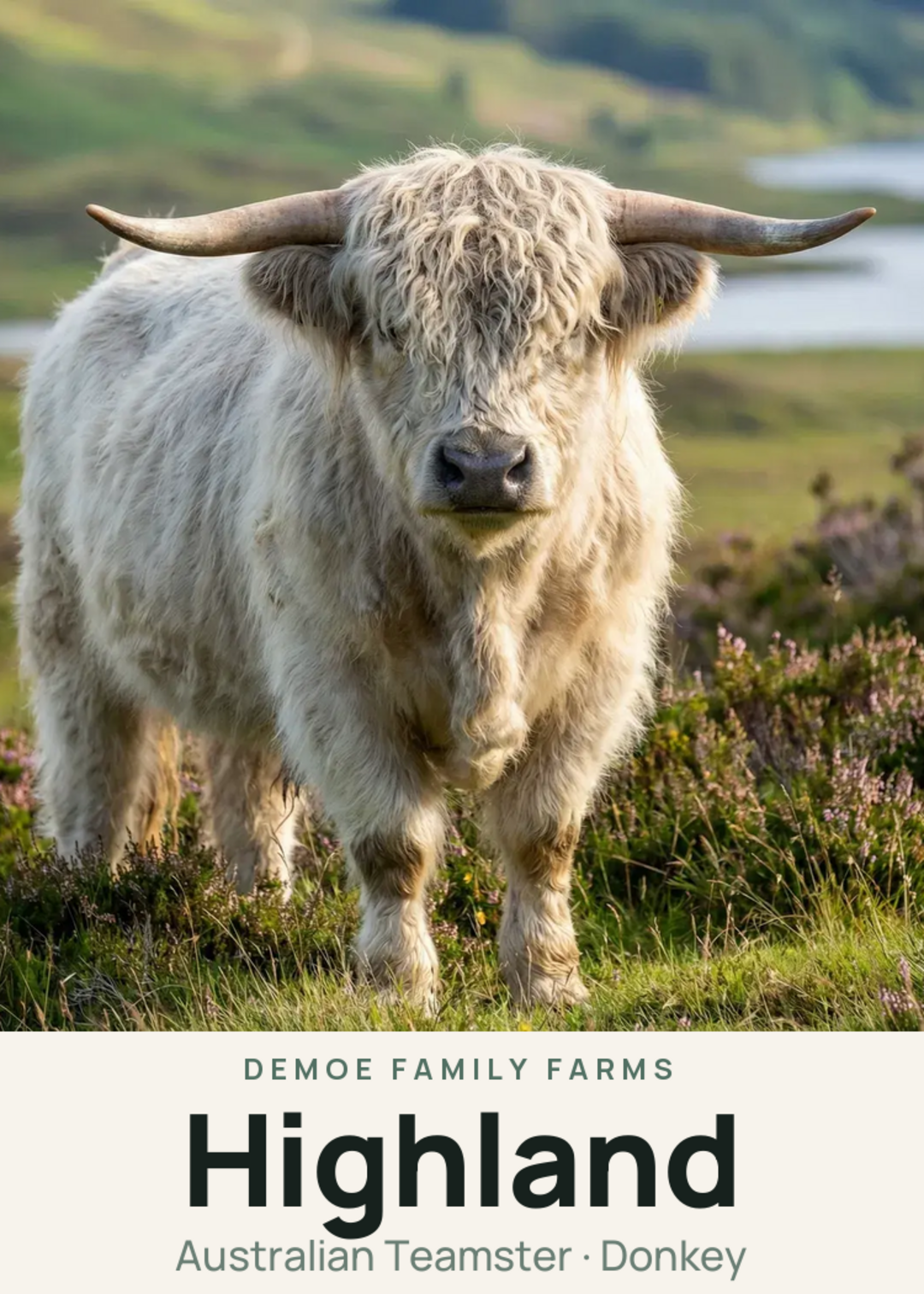 Highland Creature Card