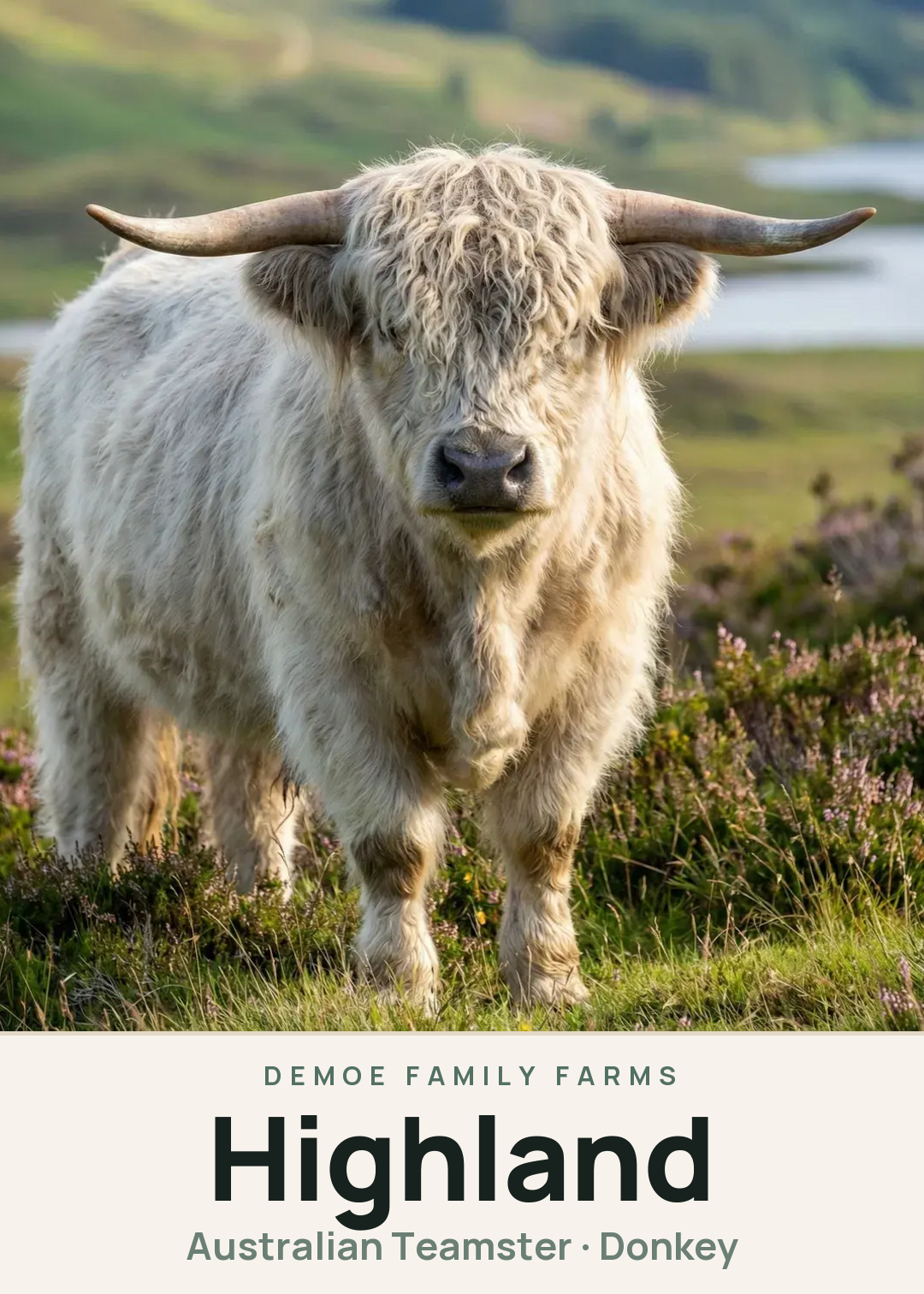 Highland Creature Card