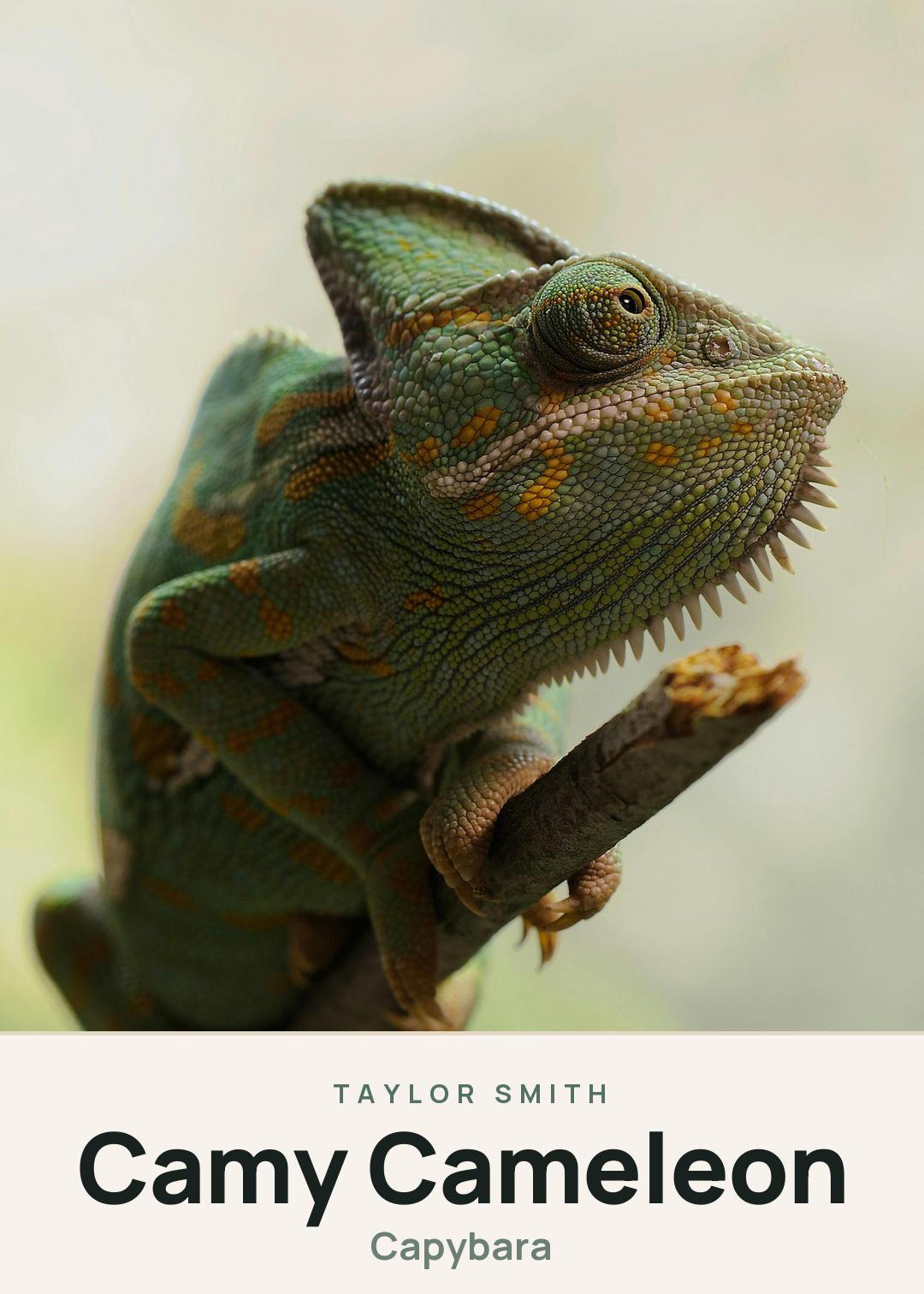 Camy Cameleon Creature Card