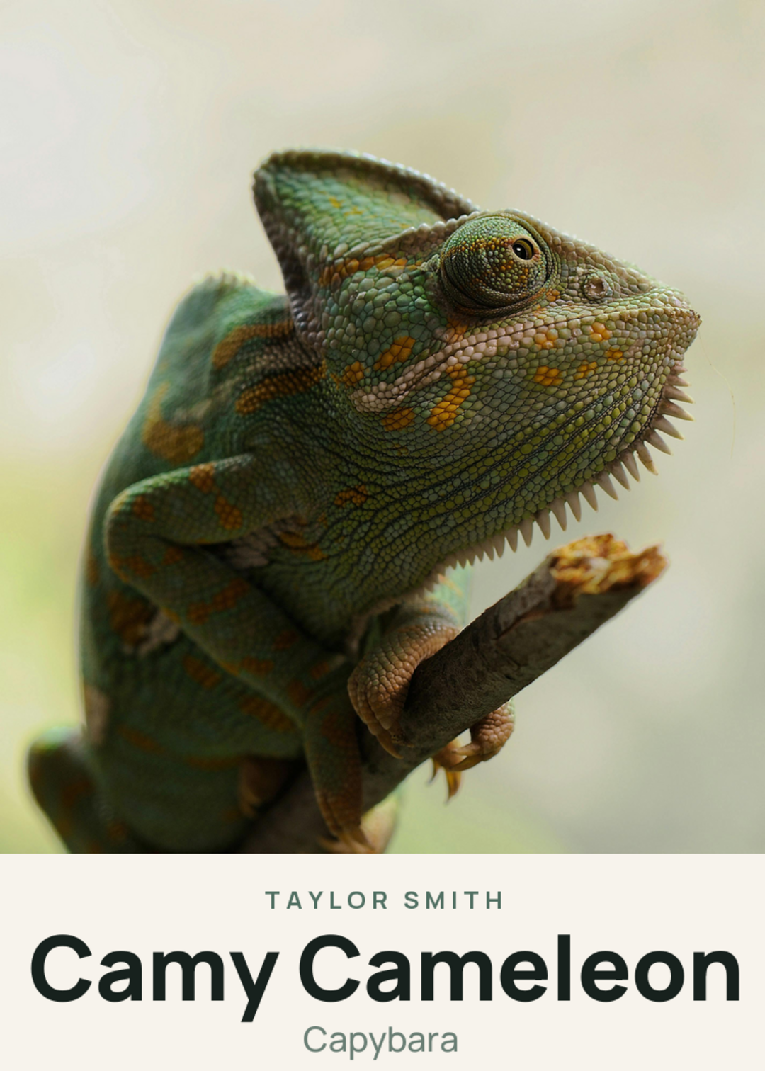 Camy Cameleon Creature Card