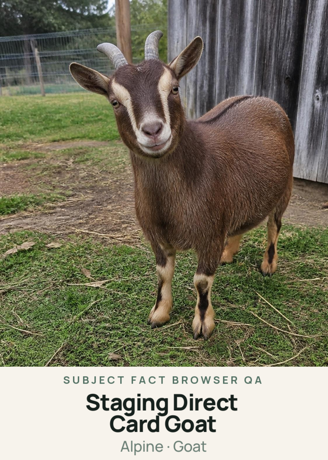 Staging Direct Card Goat Creature Card