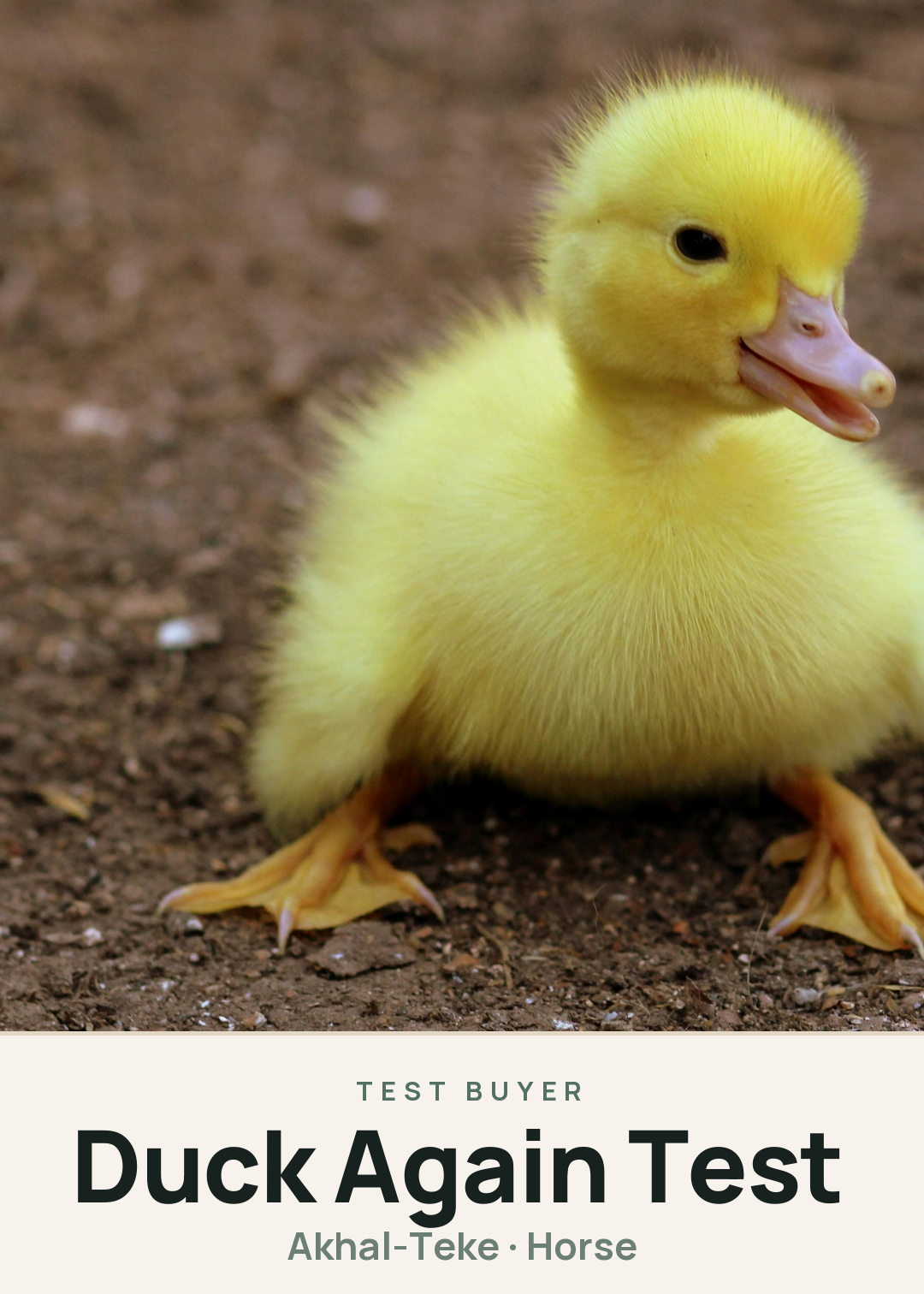 Duck Again Test Creature Card