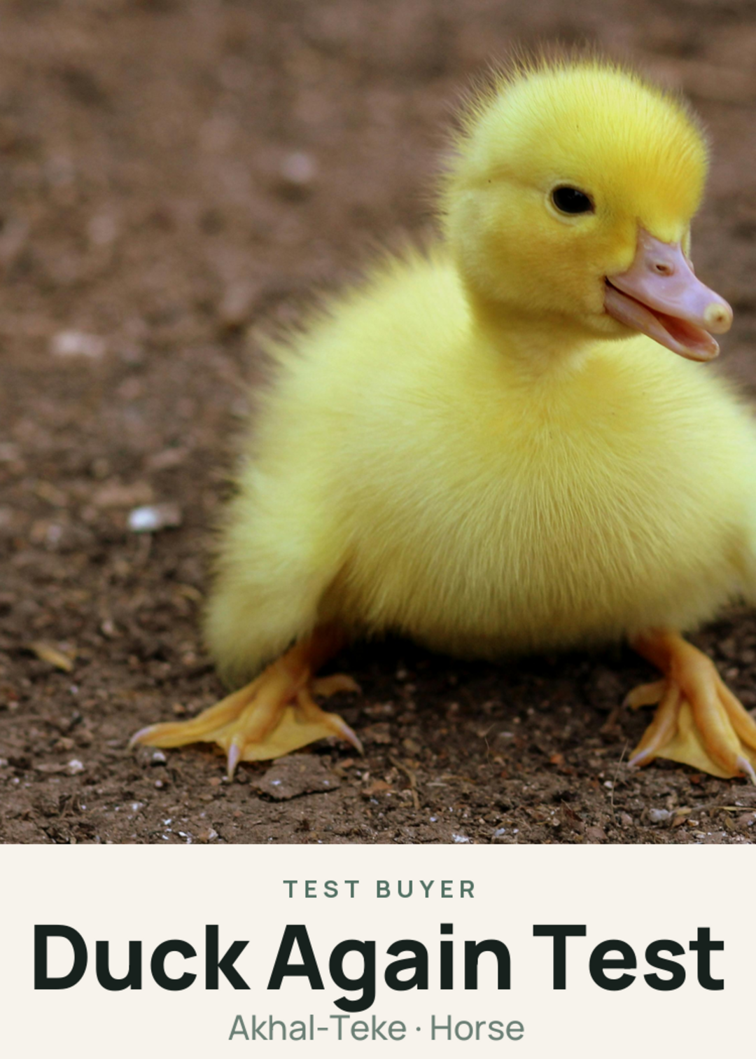 Duck Again Test Creature Card