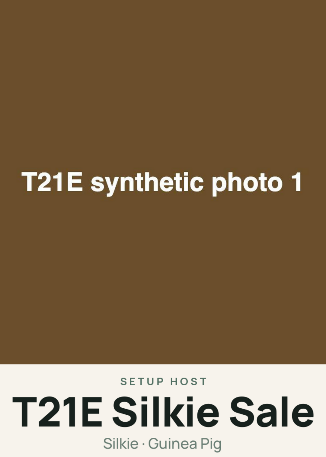 T21E Silkie Sale Creature Card