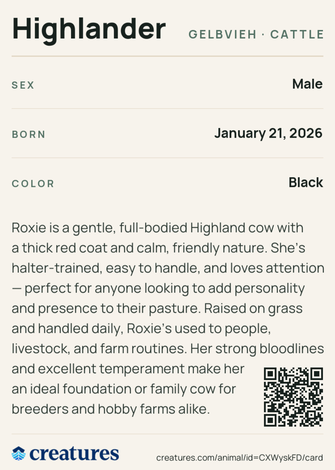 Highlander Creature Card back