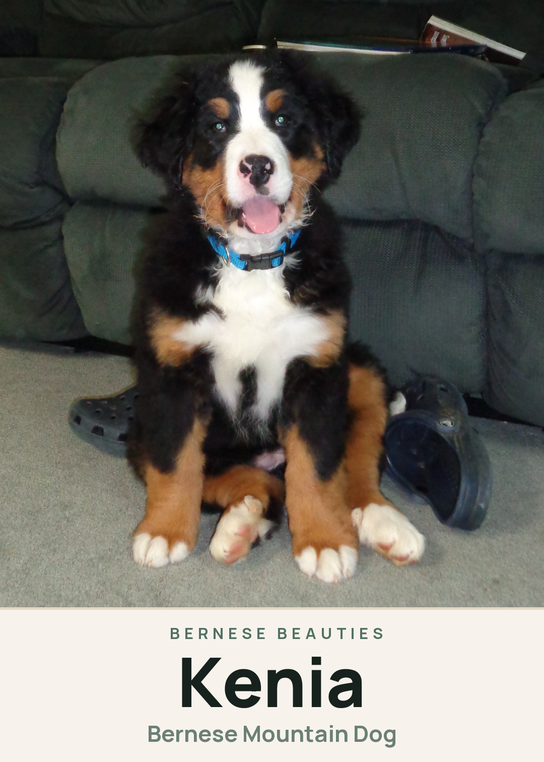 Kenia Creature Card
