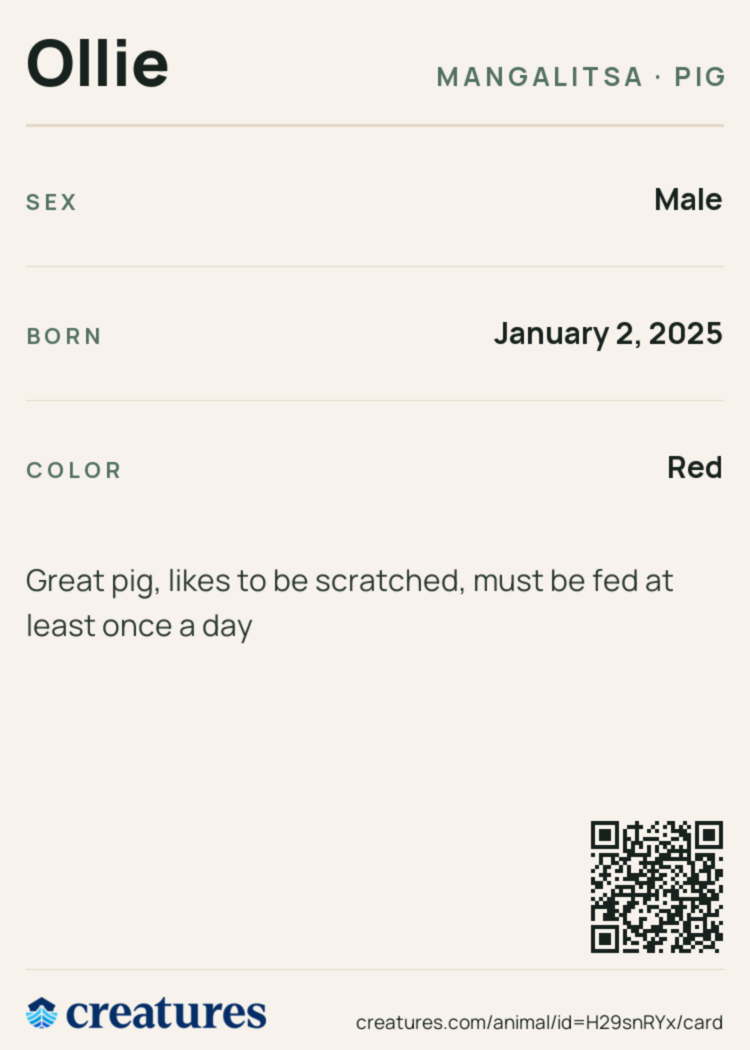Ollie Creature Card back