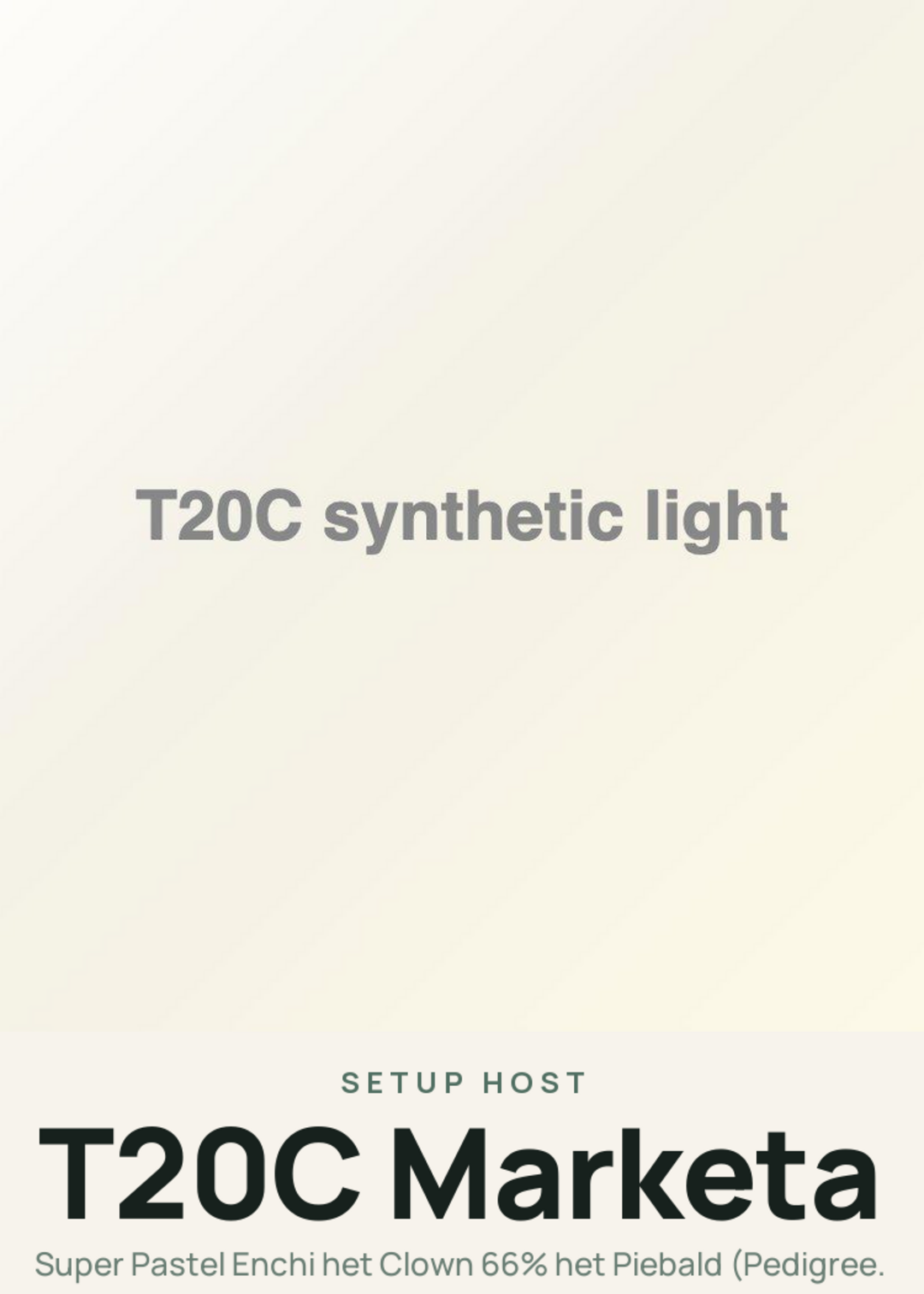 T20C Marketa Creature Card