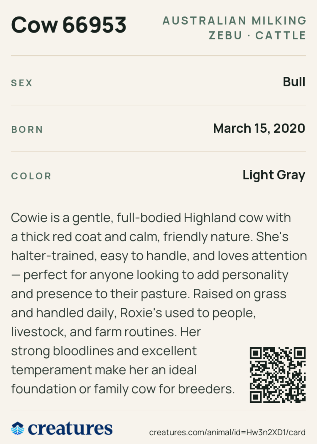 Cow 66953 Creature Card back