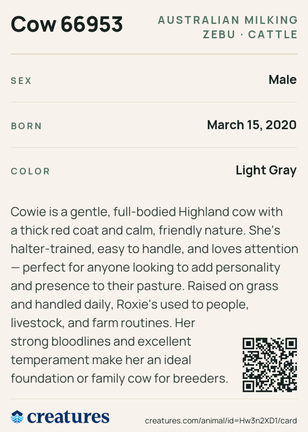 Cow 66953 Creature Card back