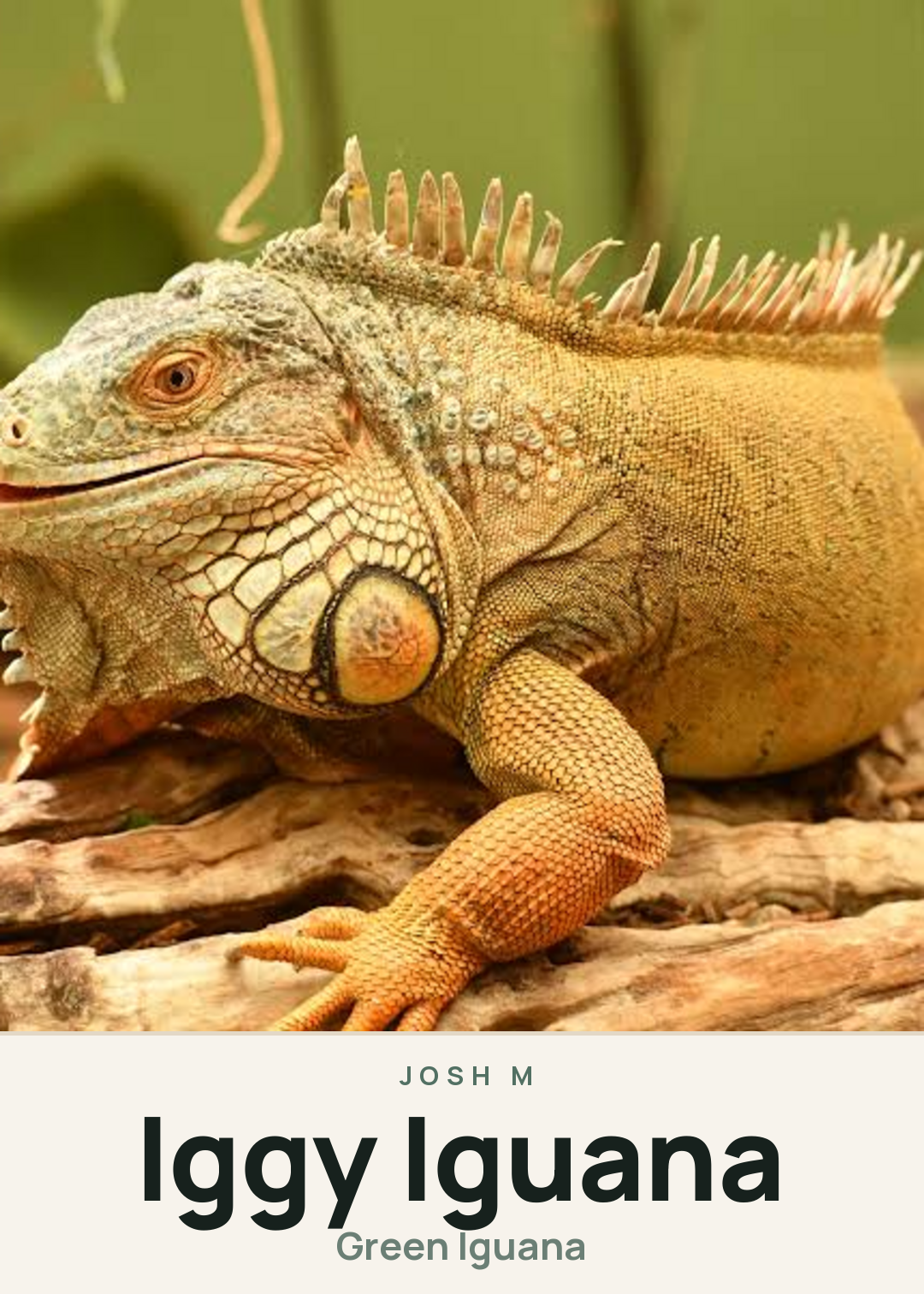 Iggy Iguana Creature Card