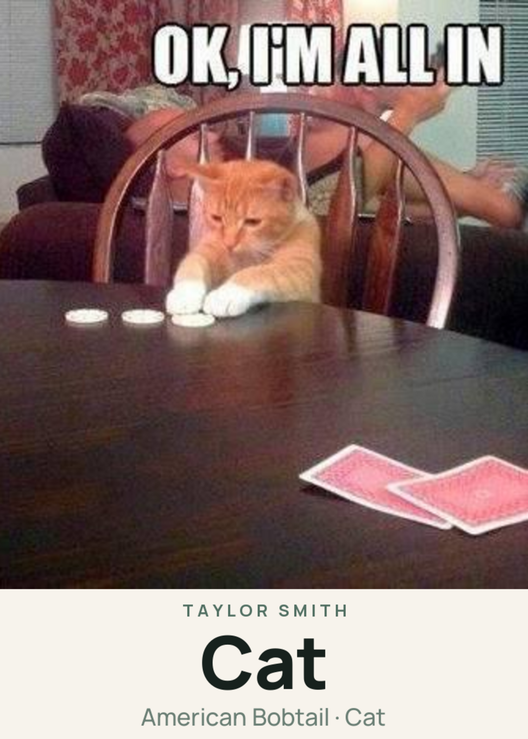Cat Creature Card