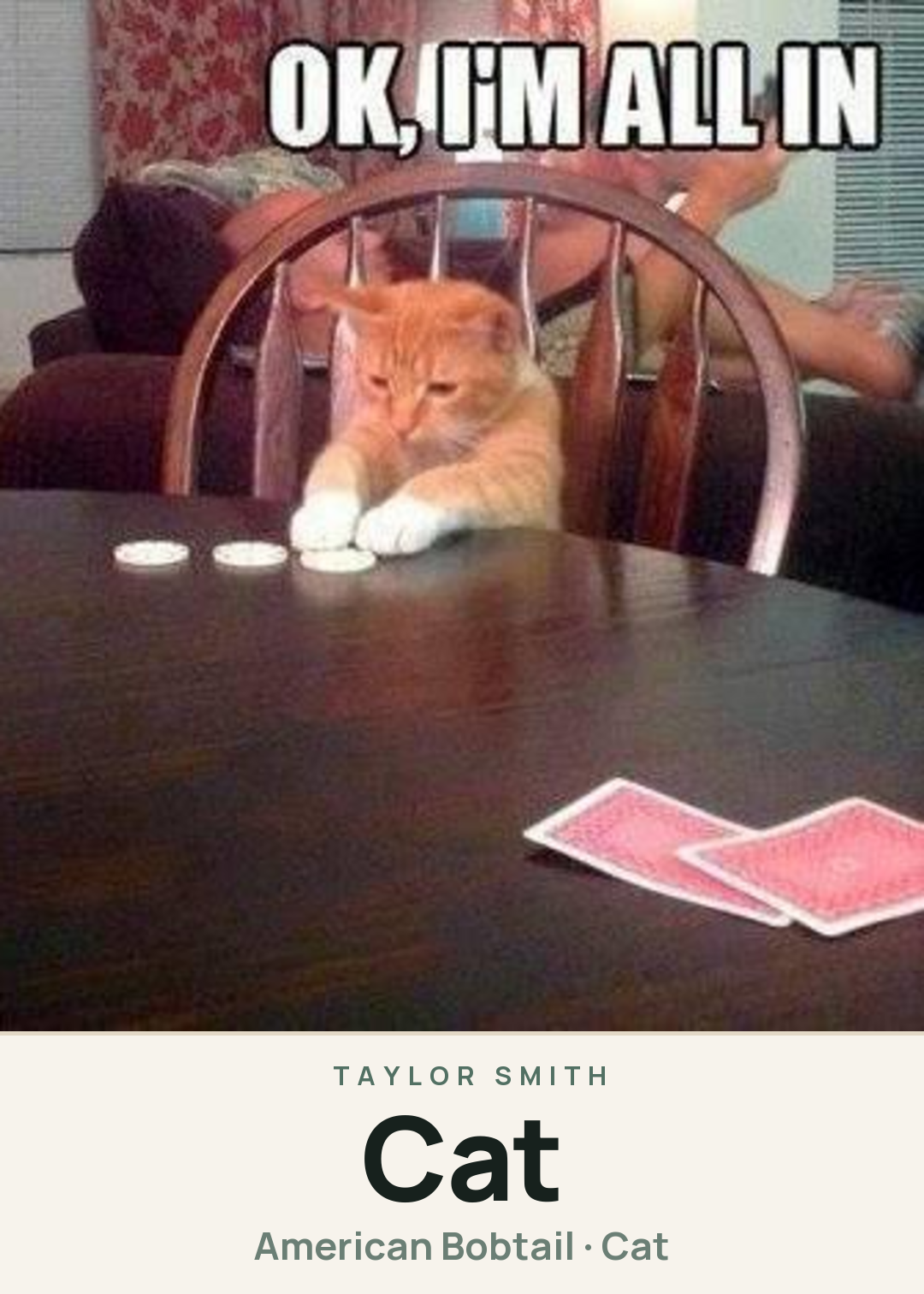 Cat Creature Card