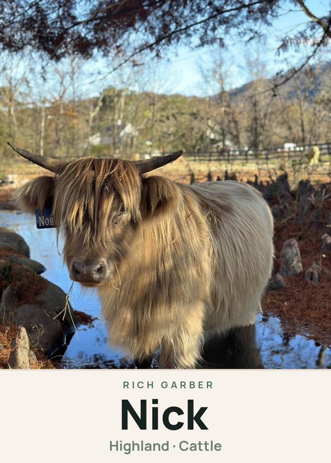 Nick Creature Card