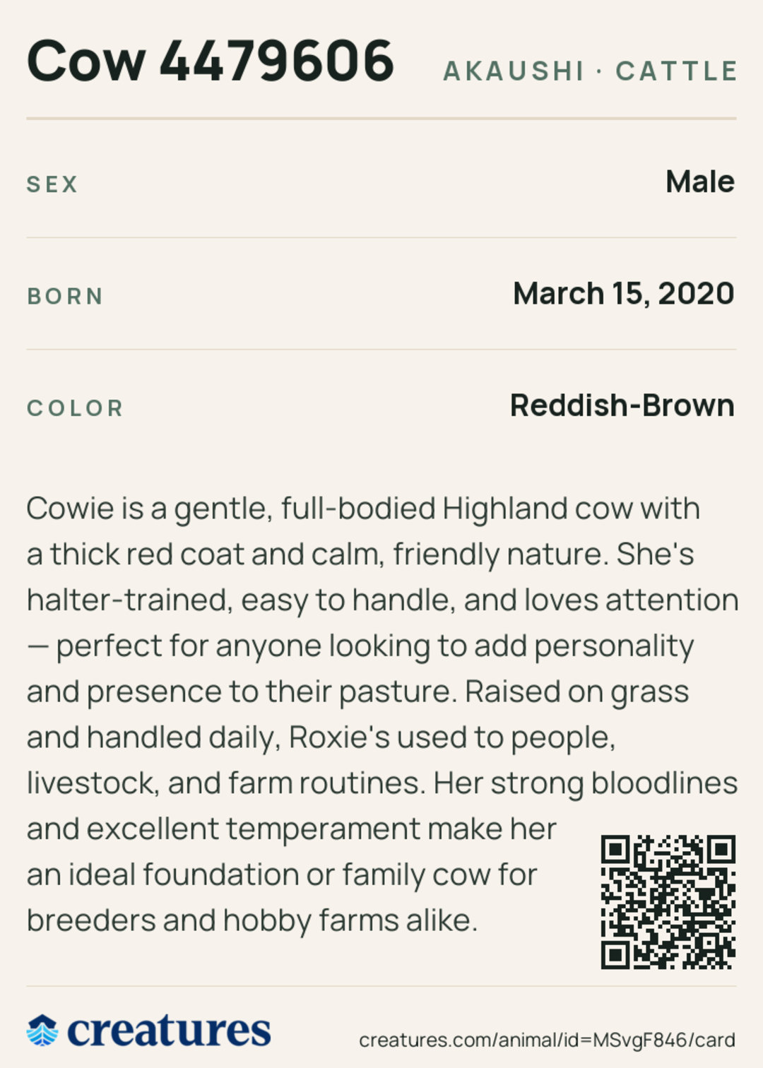 Cow 4479606 Creature Card back