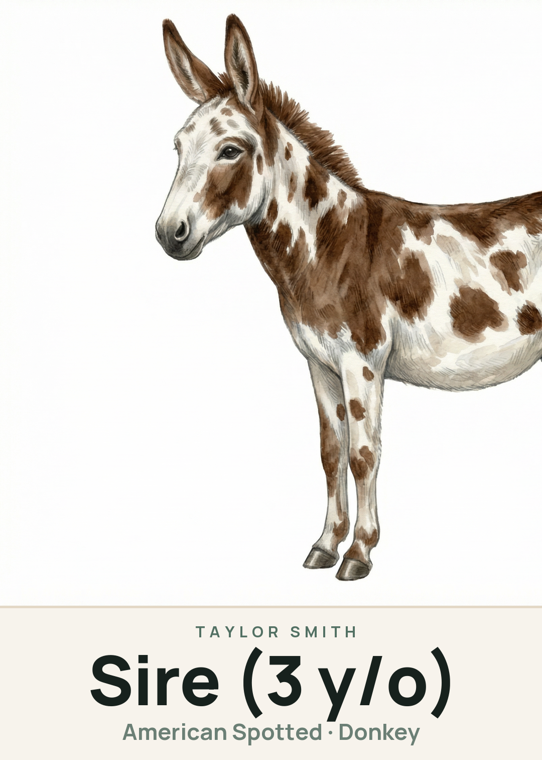 Sire (3 y/o) Creature Card