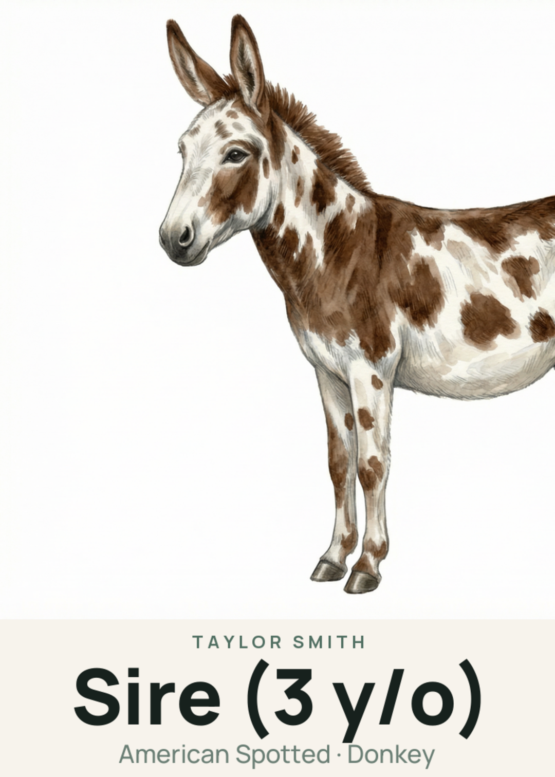 Sire (3 y/o) Creature Card