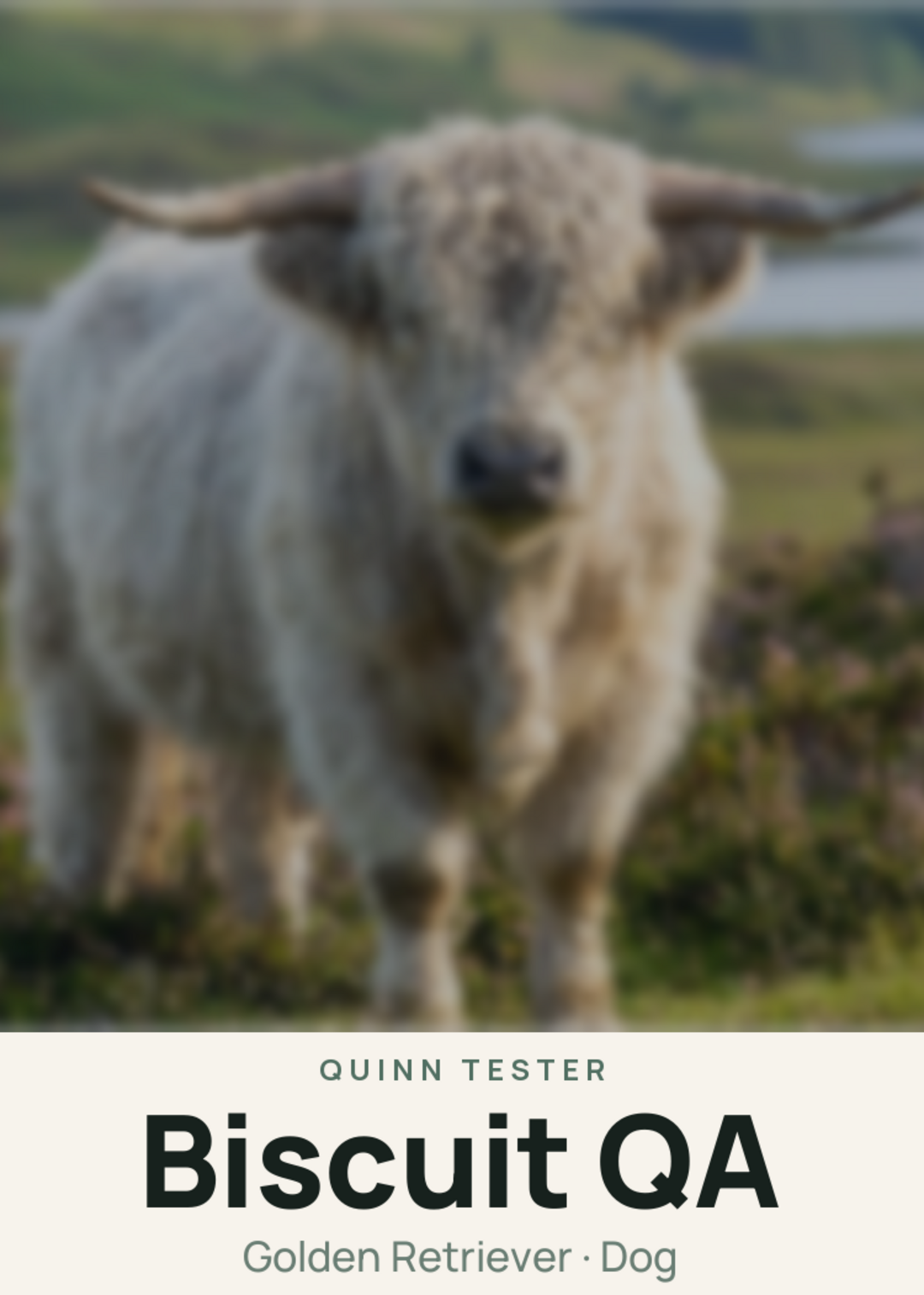 Biscuit QA Creature Card