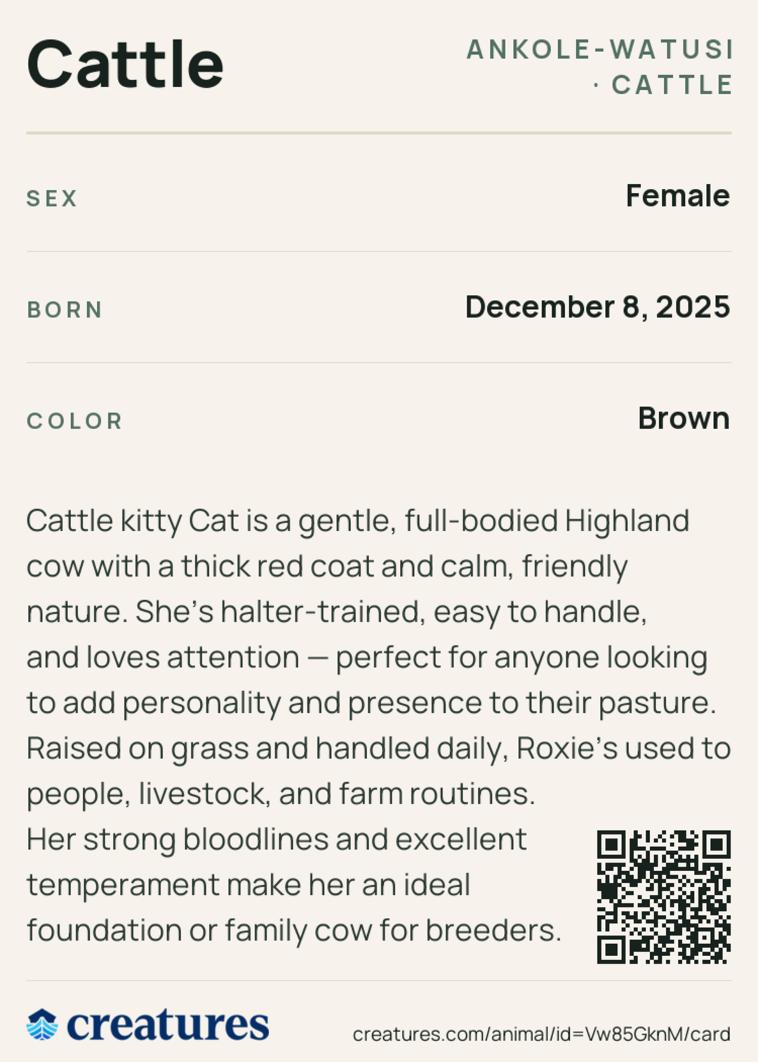 Cattle Creature Card back