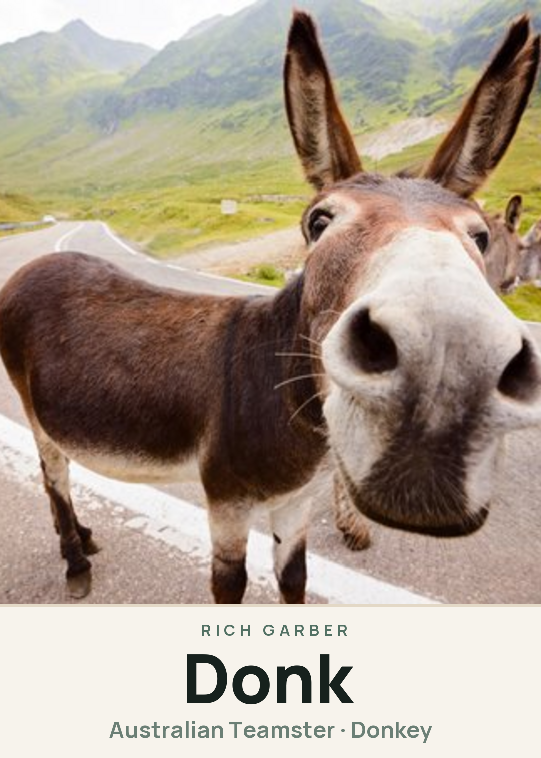 Donk Creature Card