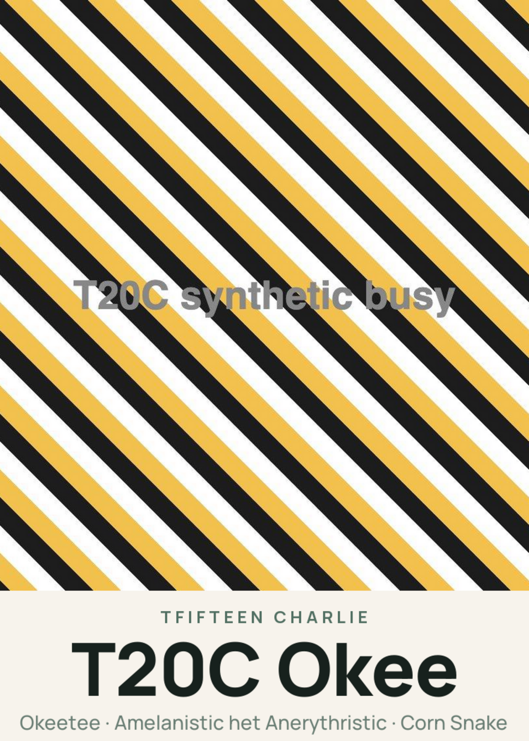 T20C Okee Creature Card