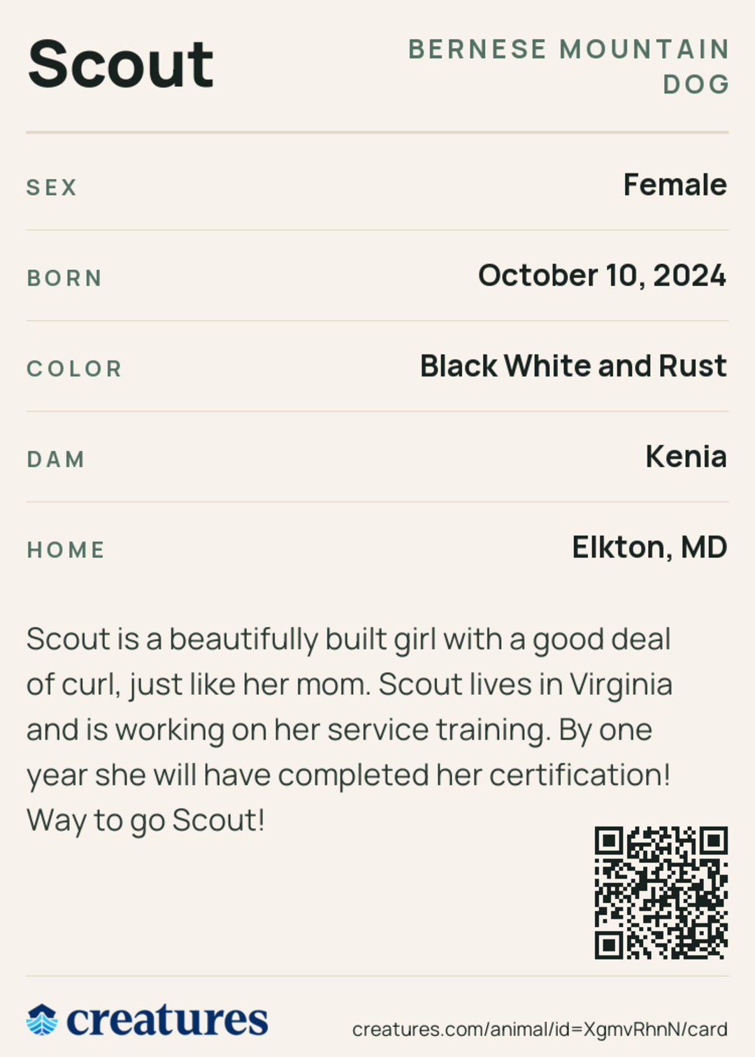 Scout Creature Card back