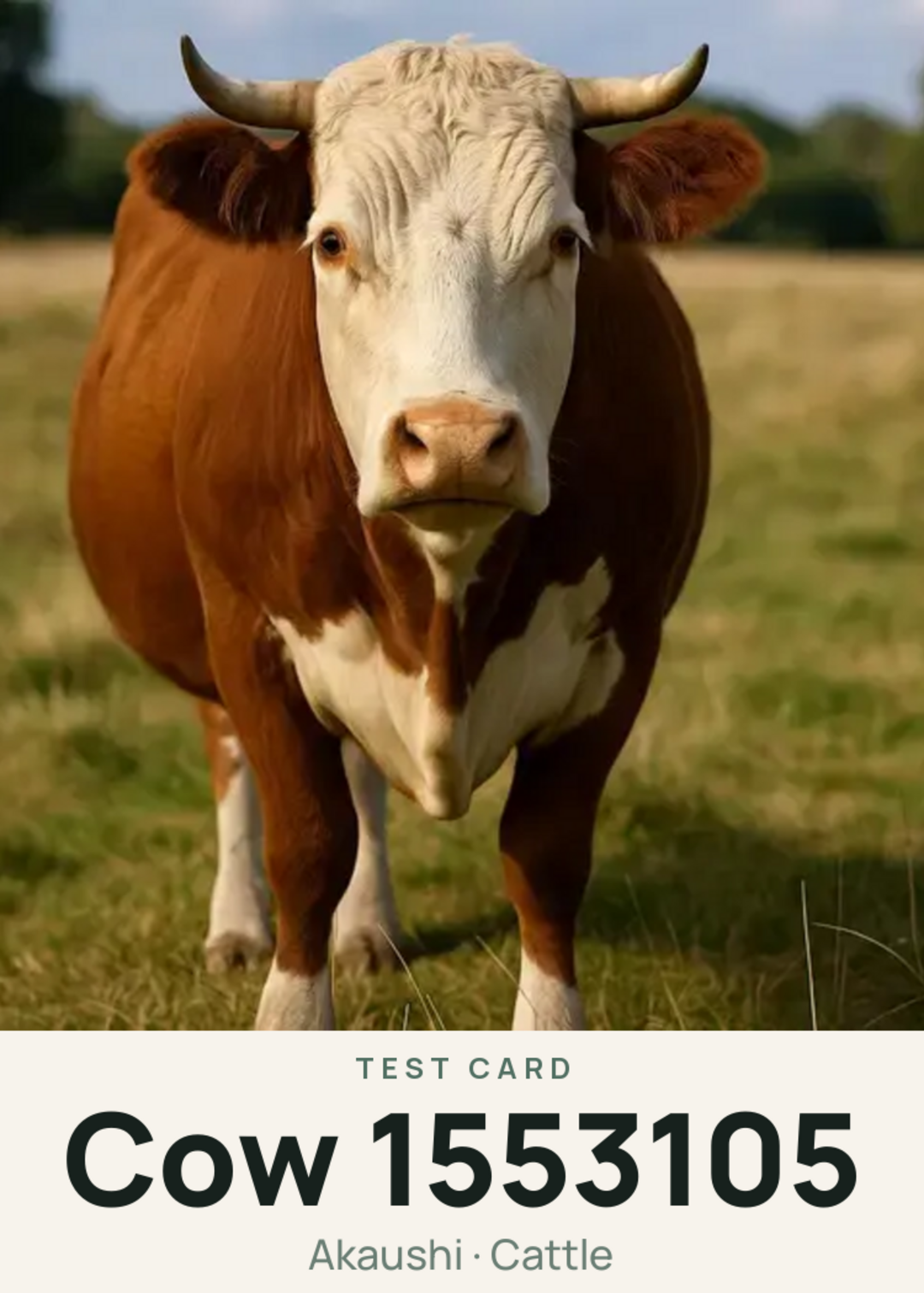 Cow 1553105 Creature Card