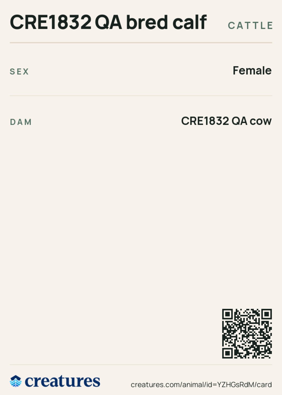 CRE1832 QA bred calf Creature Card back