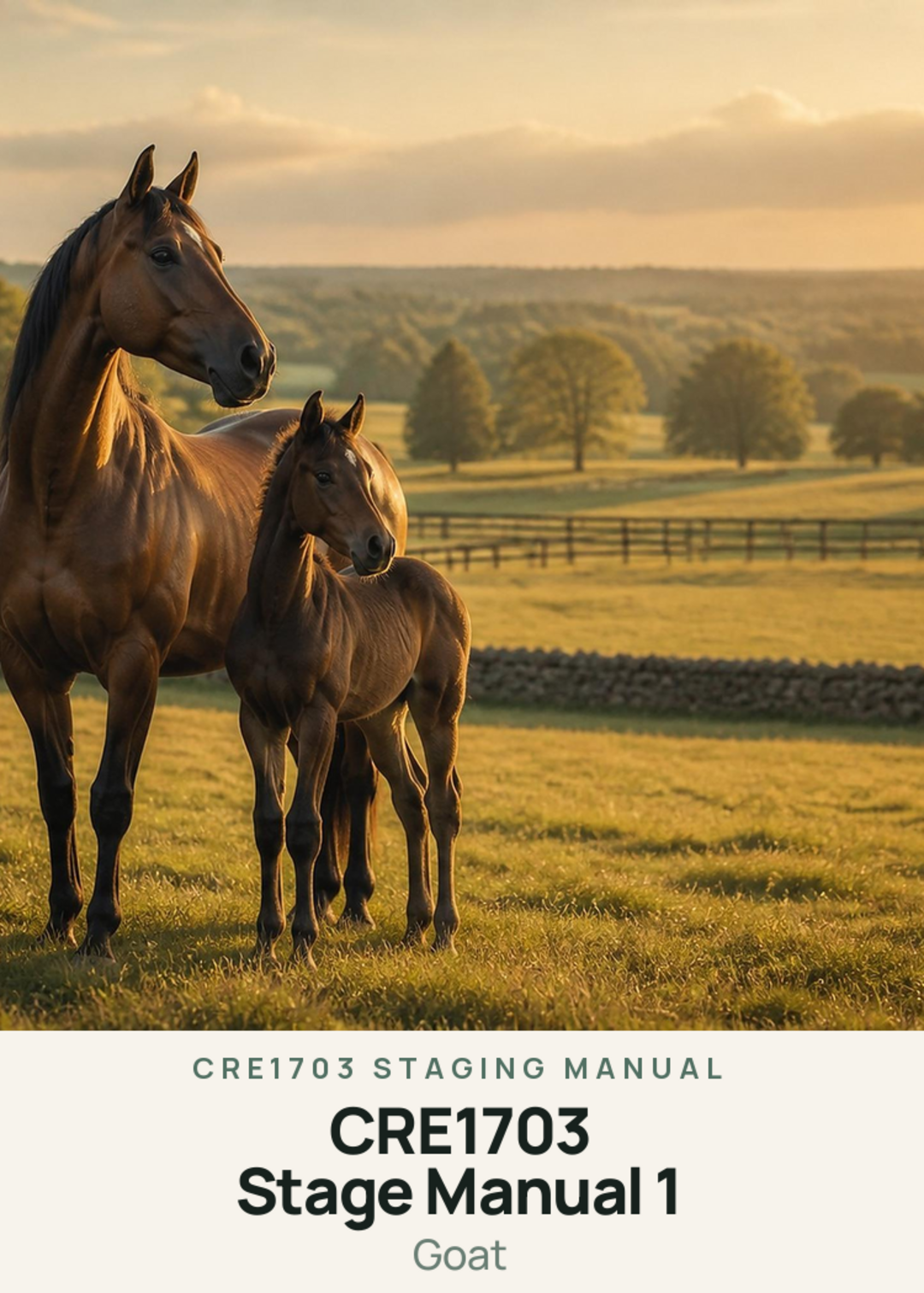 CRE1703 Stage Manual 1 Creature Card