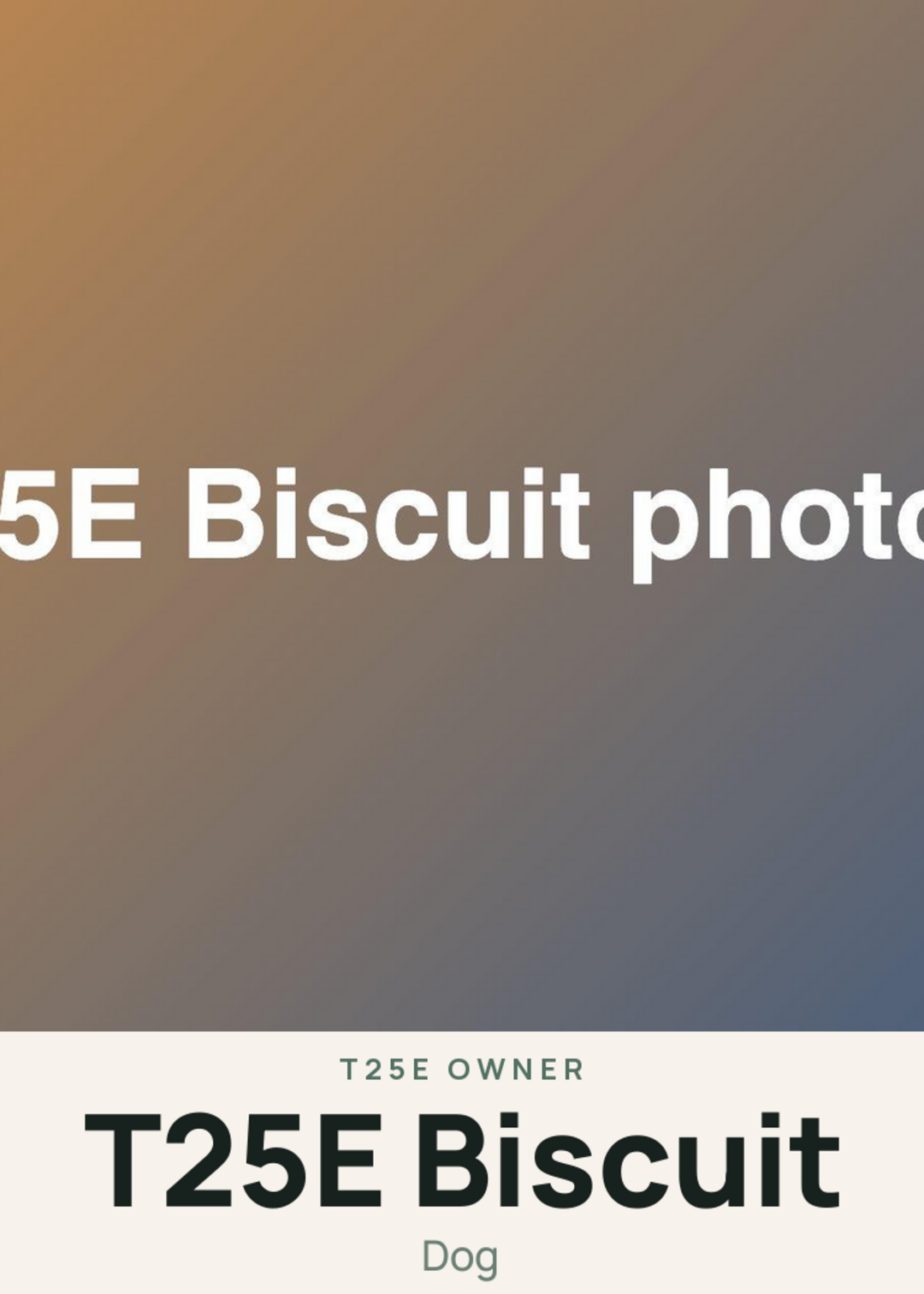 T25E Biscuit Creature Card