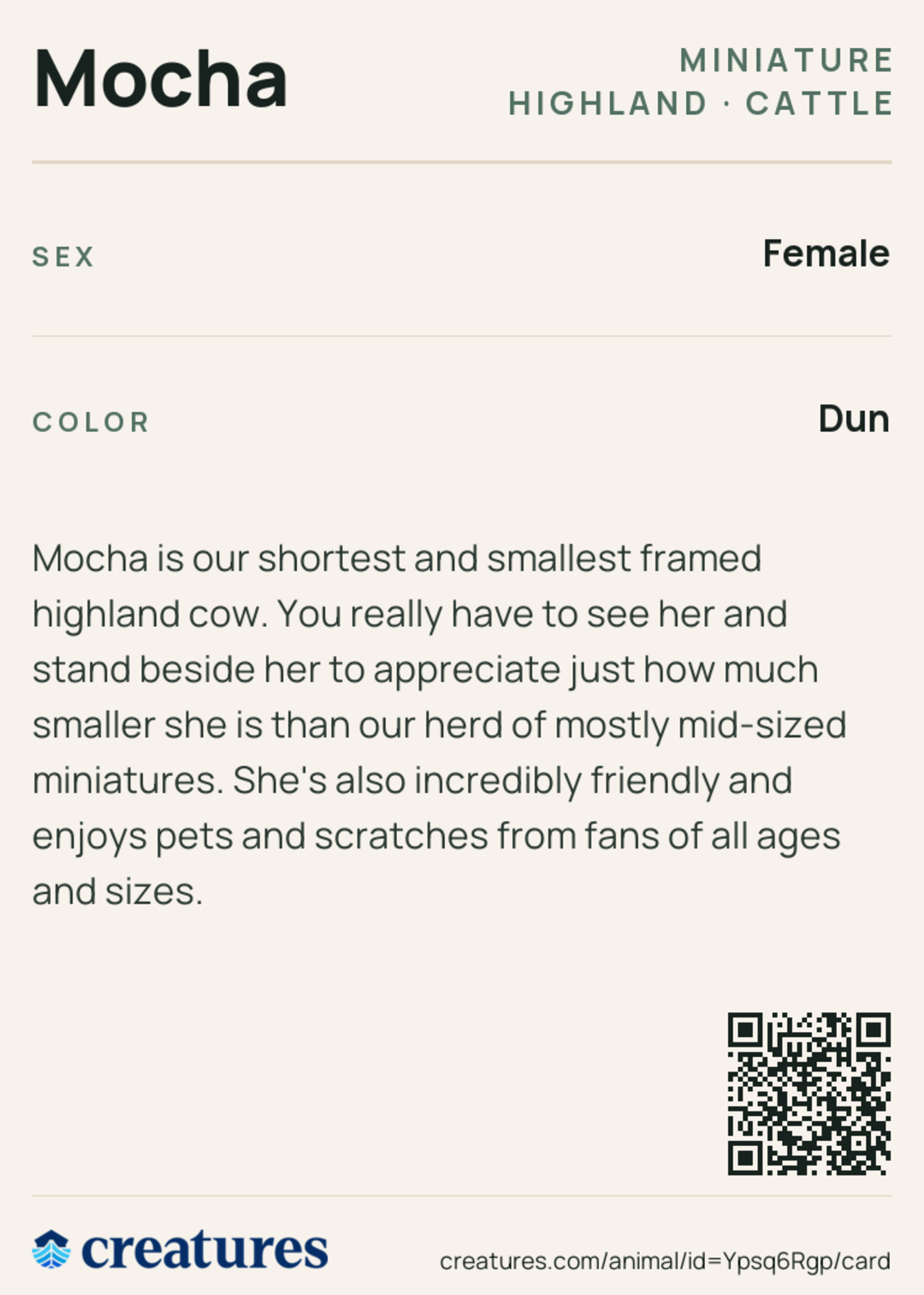Mocha Creature Card back