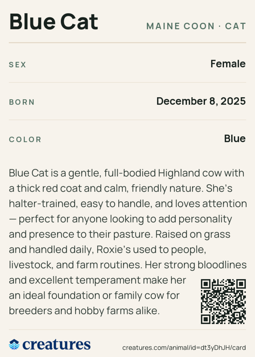 Blue Cat Creature Card back