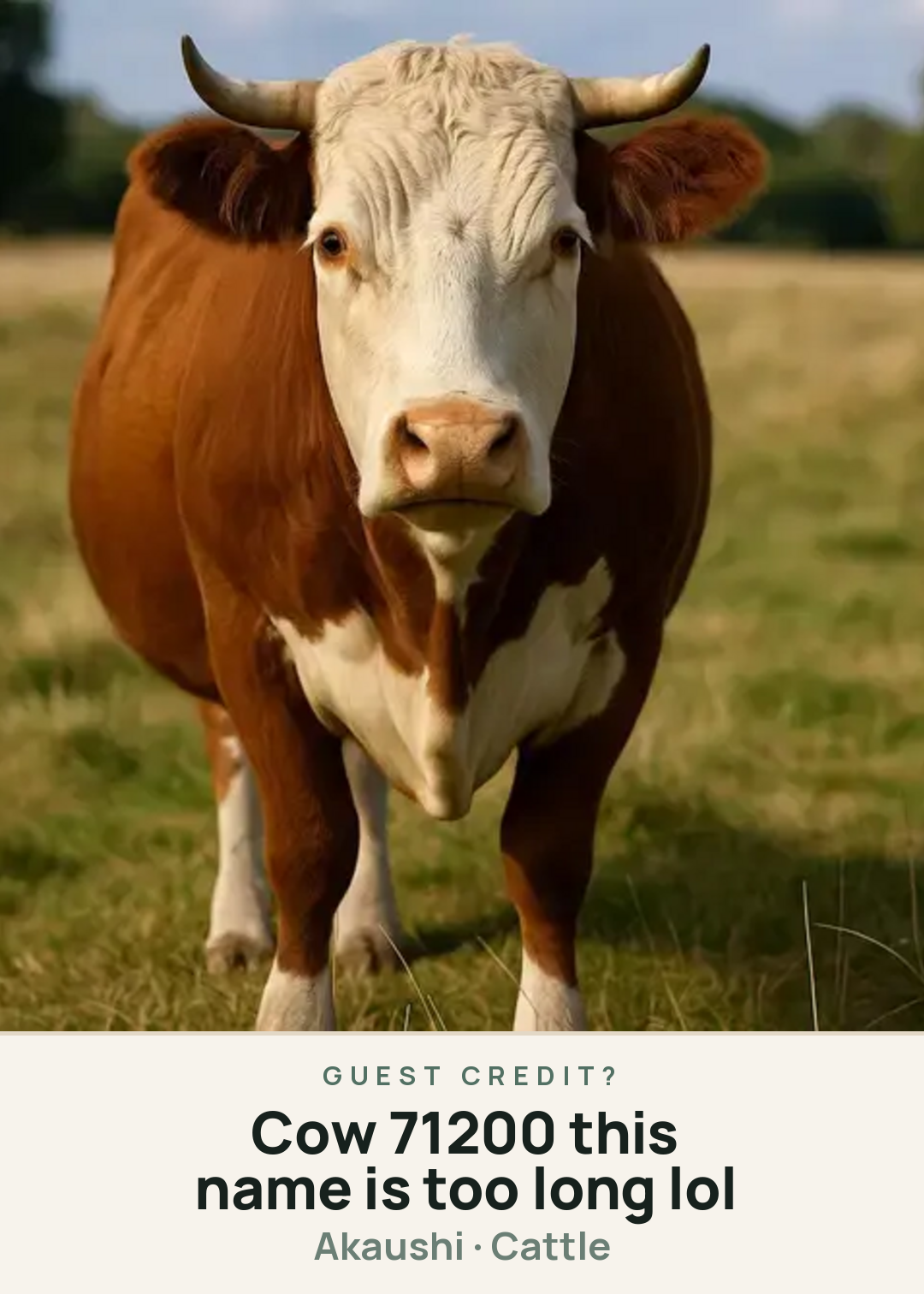 Cow 71200 this name is too long lol Creature Card