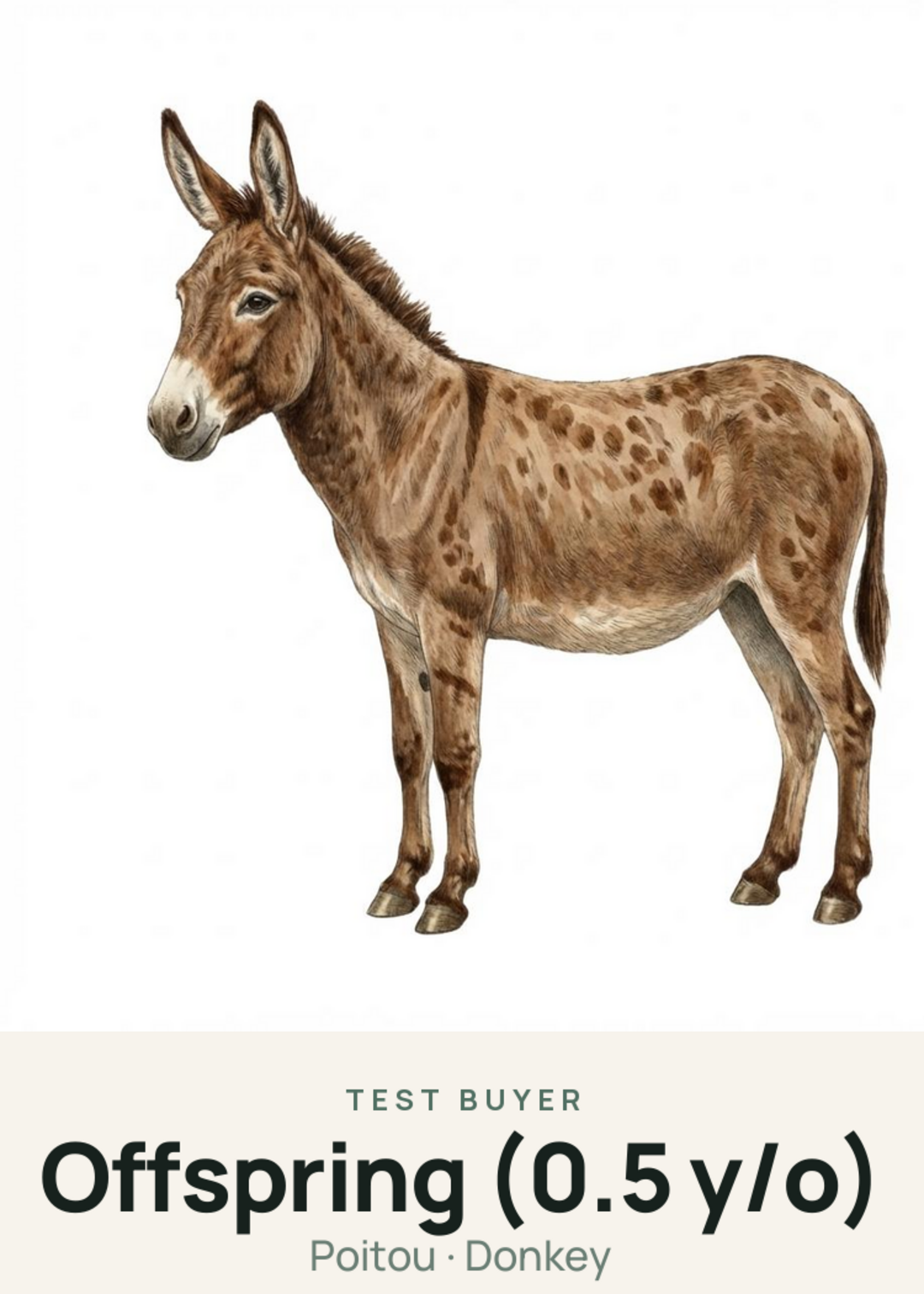 Offspring (0.5 y/o) Creature Card