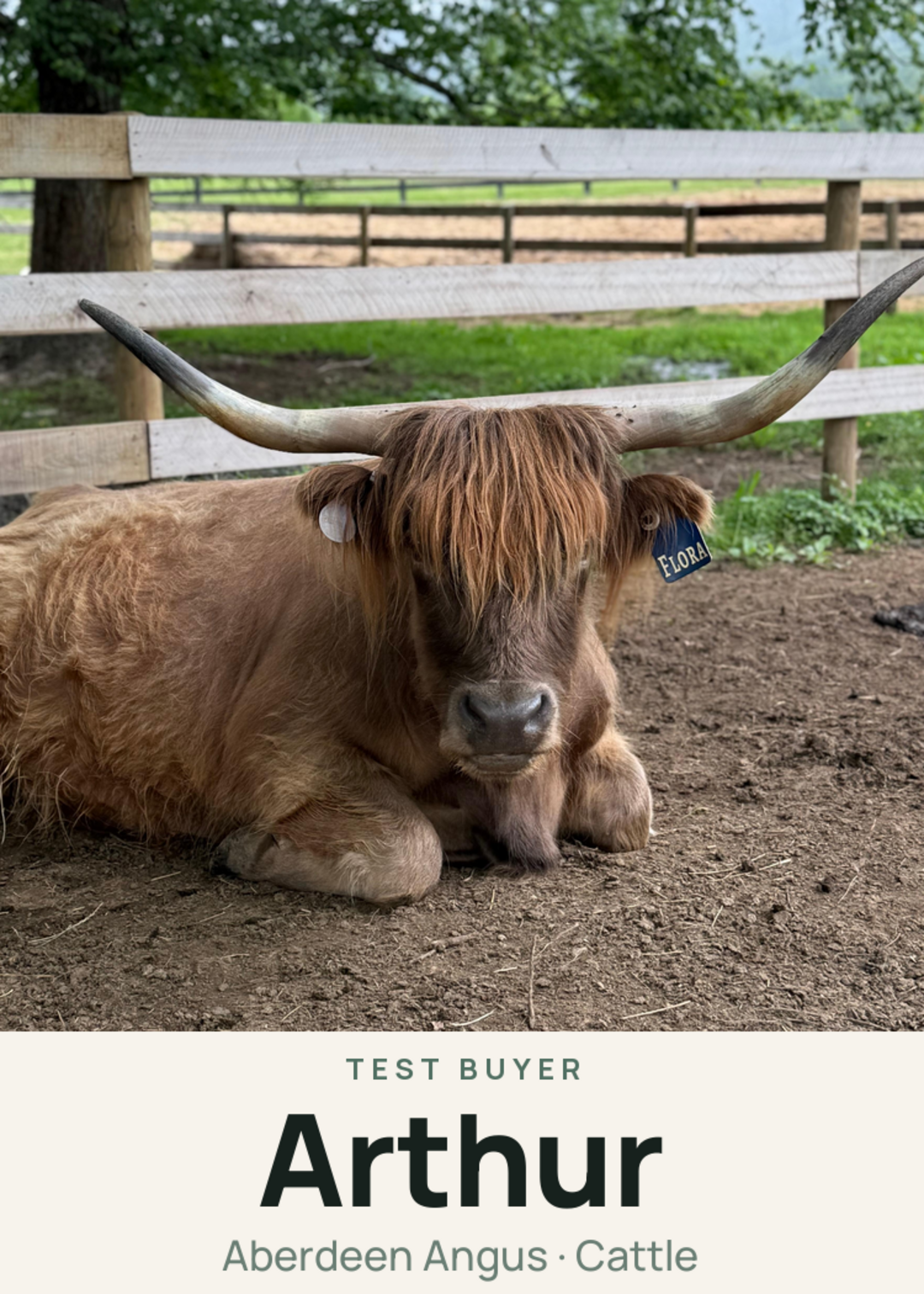 Arthur Creature Card