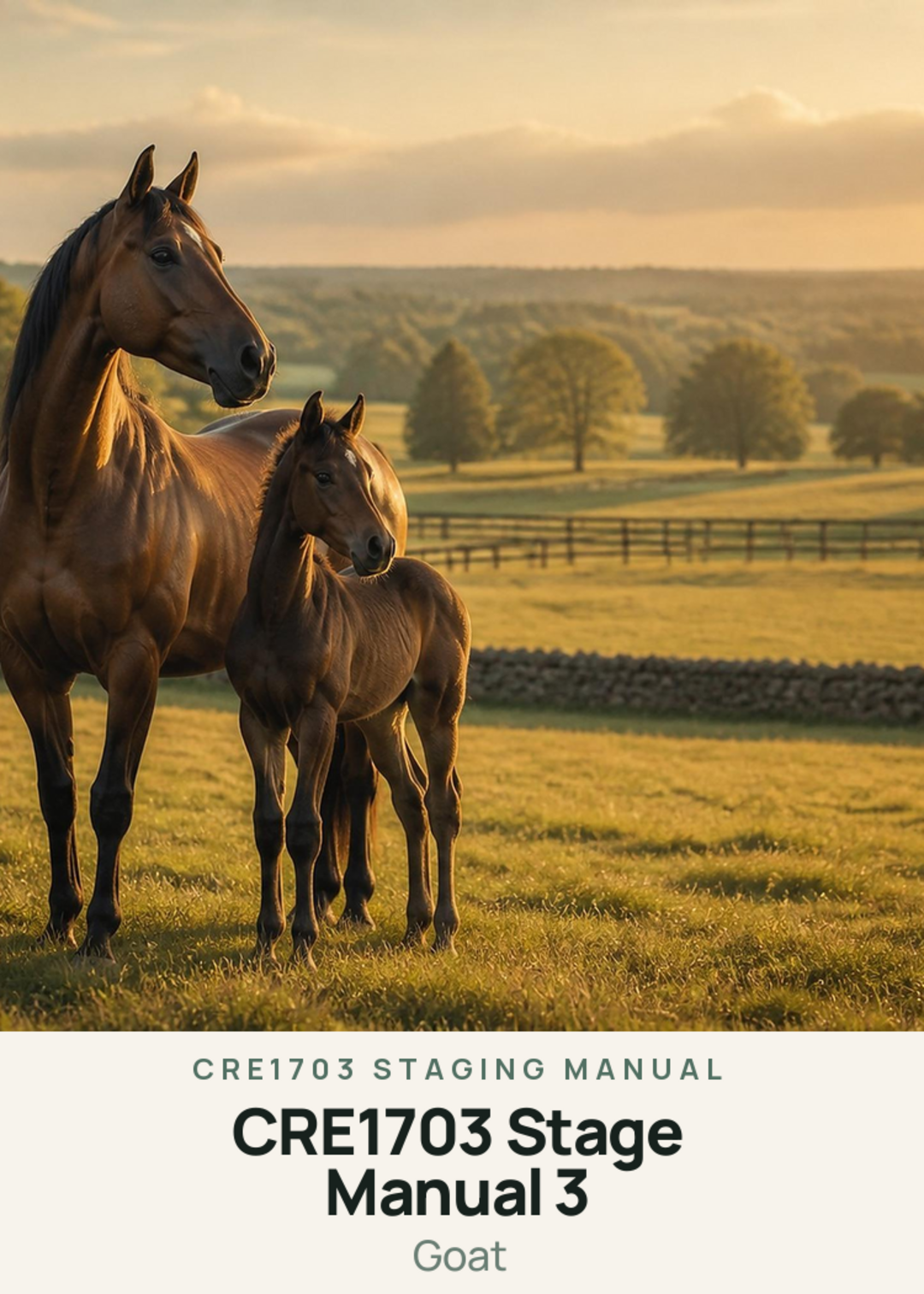 CRE1703 Stage Manual 3 Creature Card
