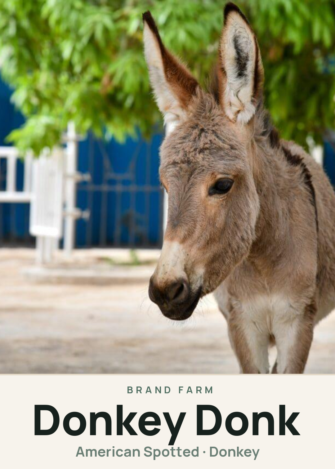 Donkey Donk Creature Card