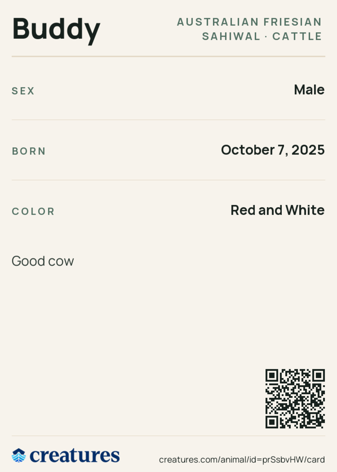 Buddy Creature Card back