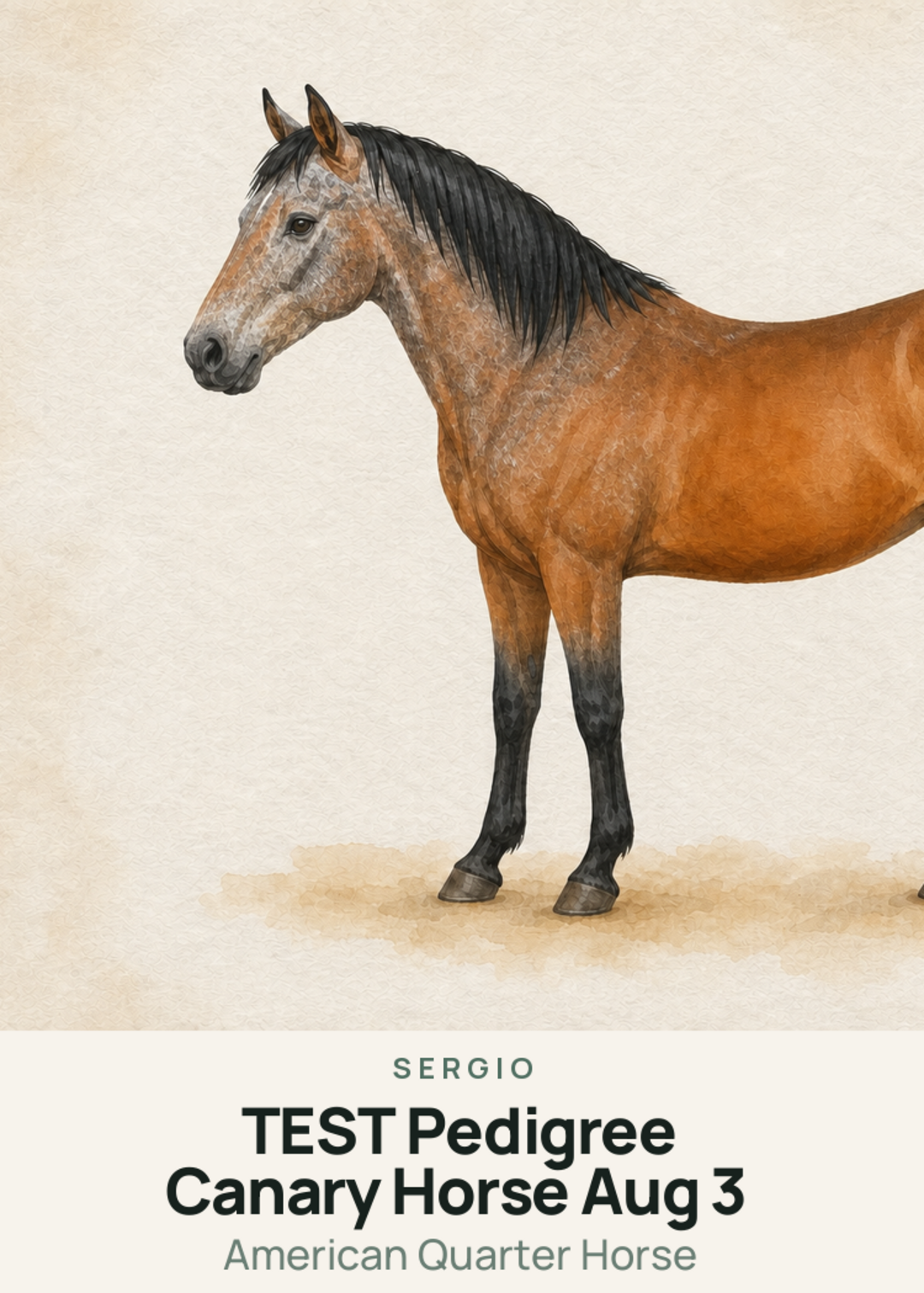 TEST Pedigree Canary Horse Aug 3 Creature Card
