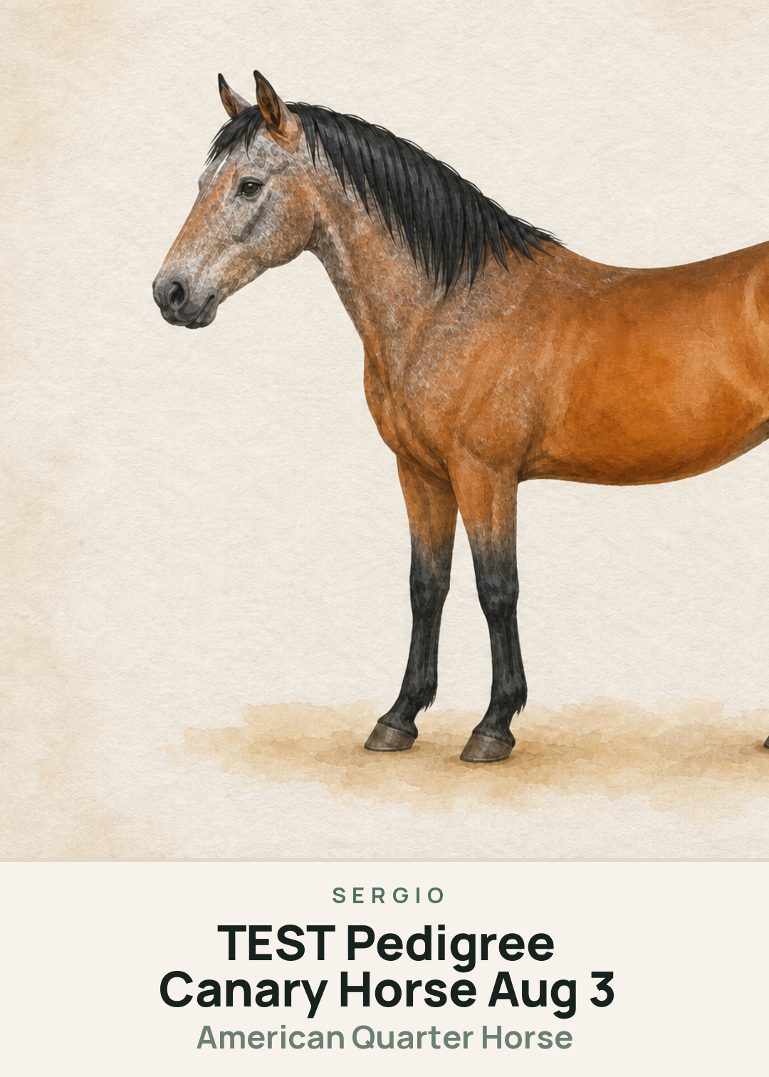 TEST Pedigree Canary Horse Aug 3 Creature Card
