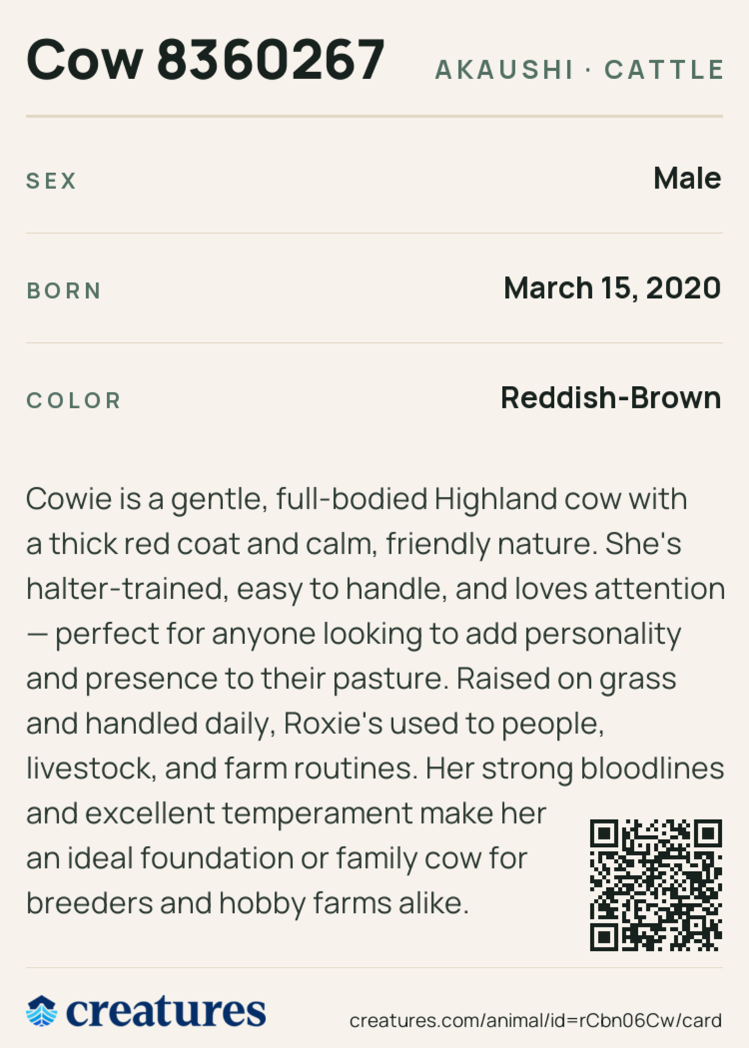 Cow 8360267 Creature Card back