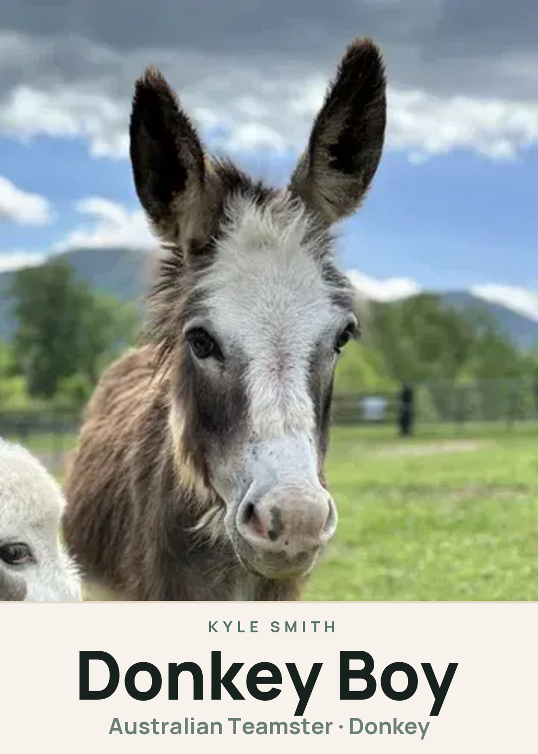 Donkey Boy Creature Card