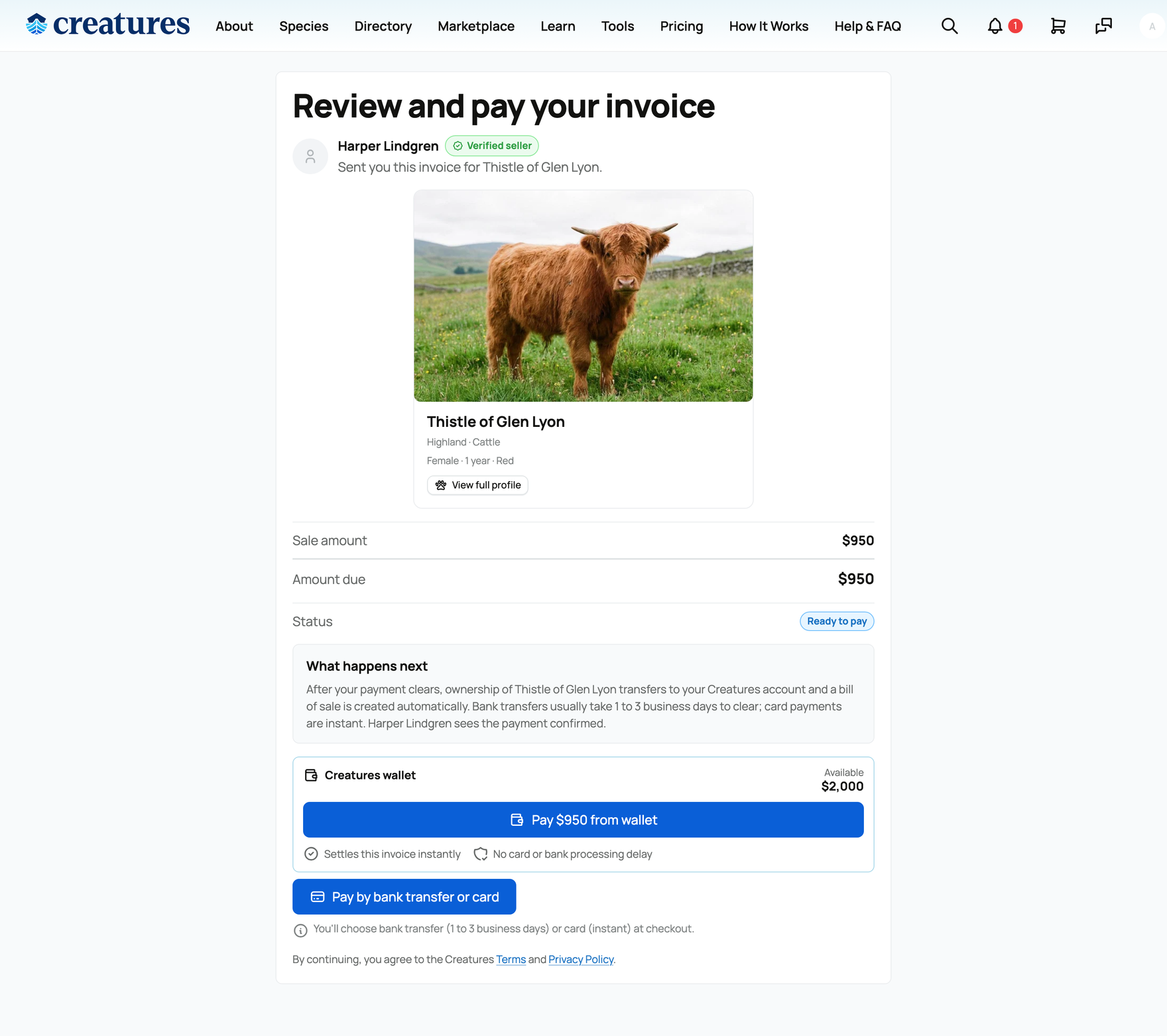 Paying a private invoice
