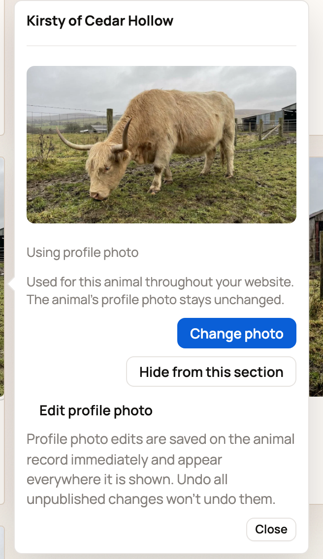 Photo options for Kirsty of Cedar Hollow in the website preview, with Change photo, Hide from this section and Edit profile photo