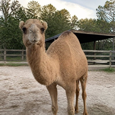 T16A 1280 Public profile picture