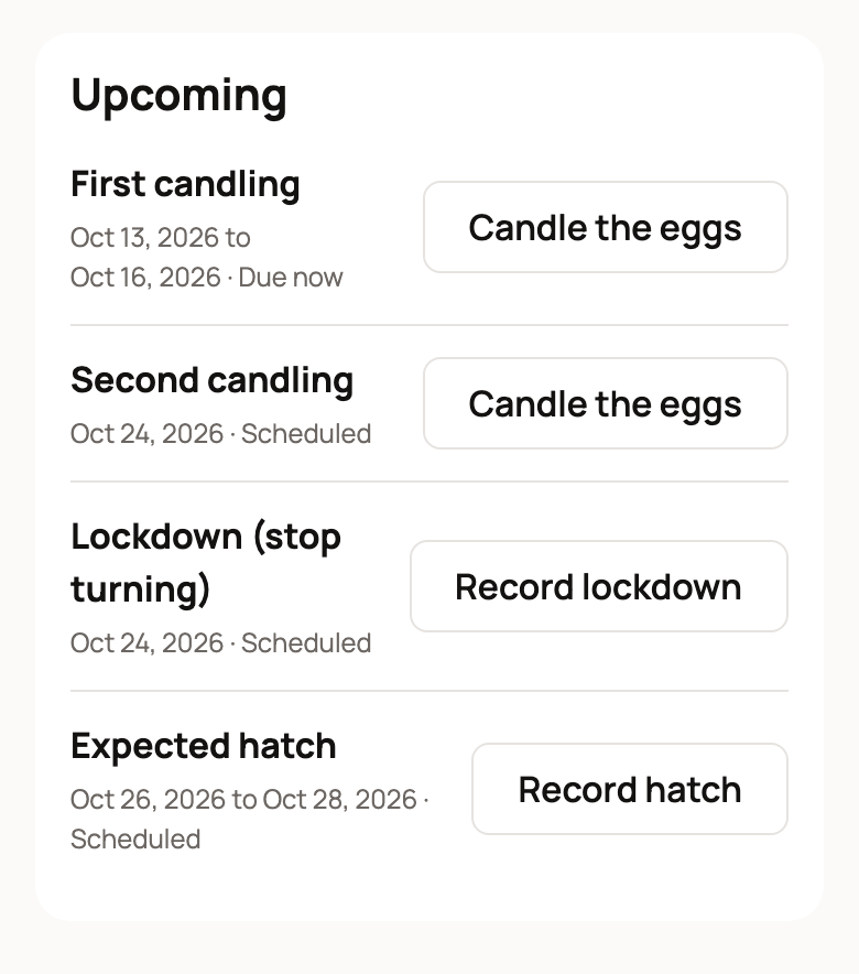Upcoming checks for a Day 8 clutch, with First candling due now and Candle the eggs
