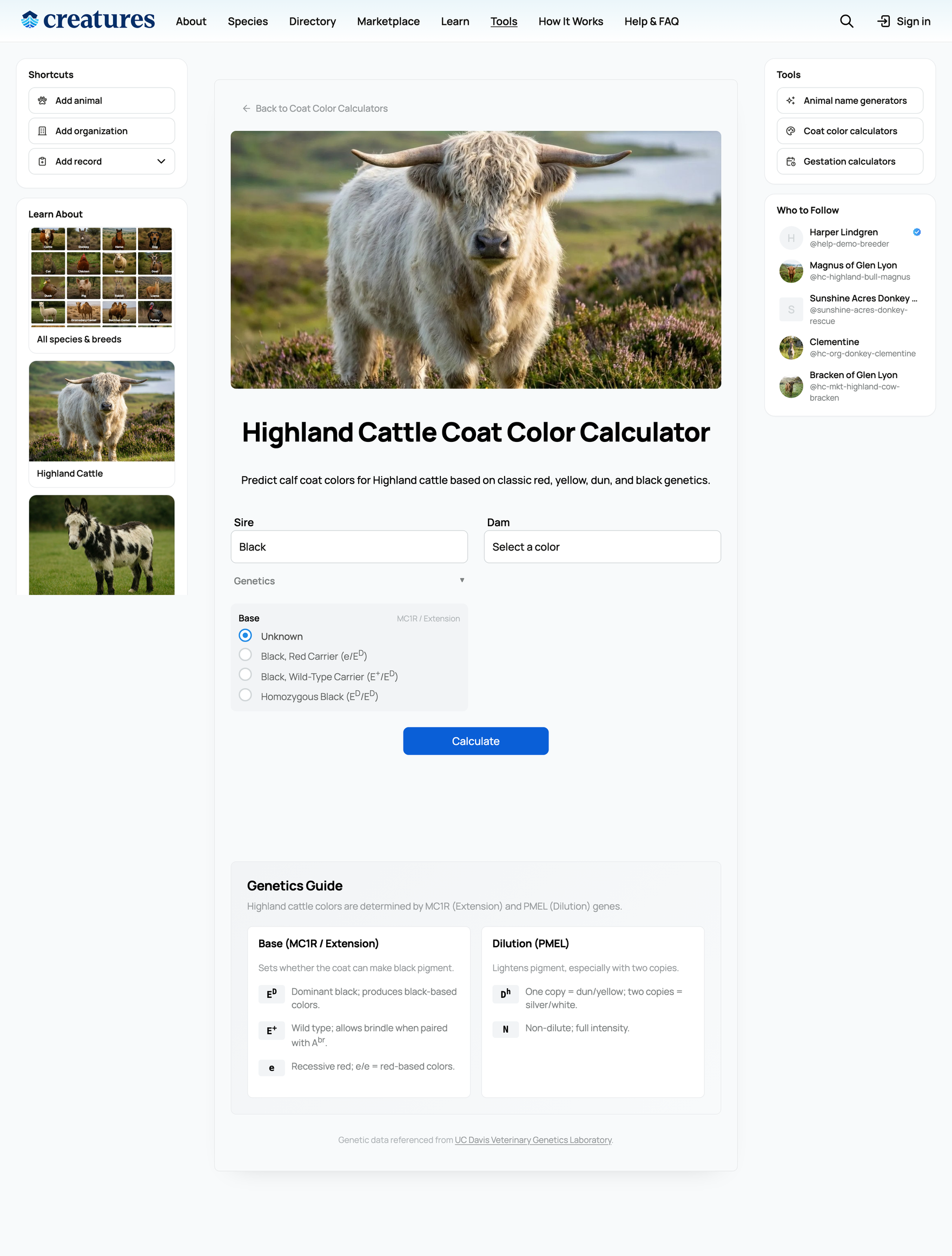 The Highland coat color calculator form with the Genetics panel open