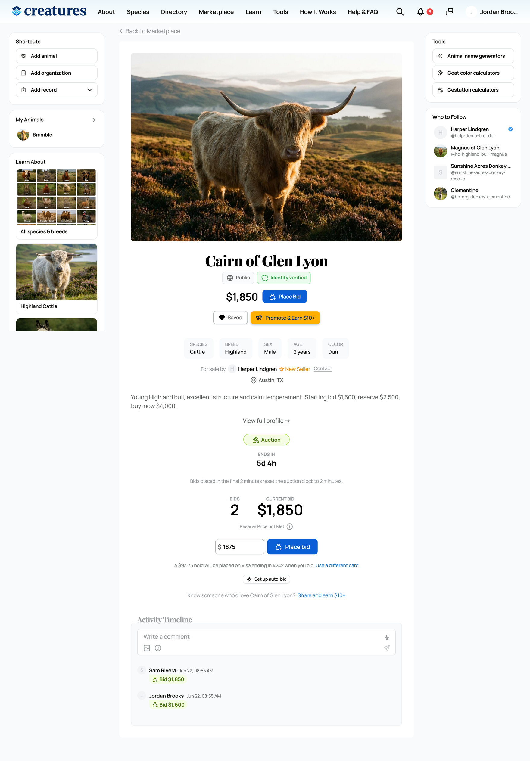 An auction listing