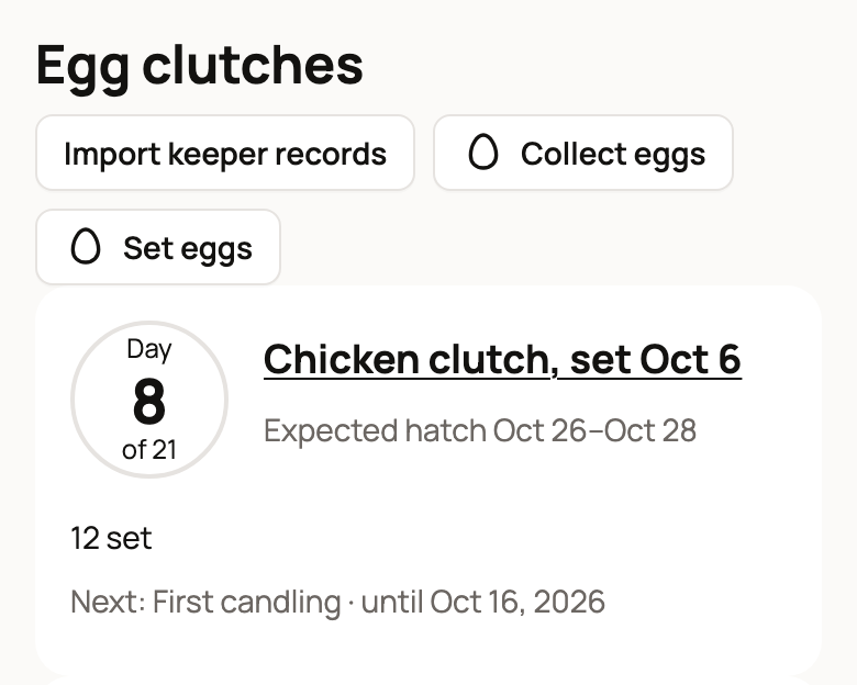 Egg clutches panel with Collect eggs, Set eggs and a Day 8 clutch card