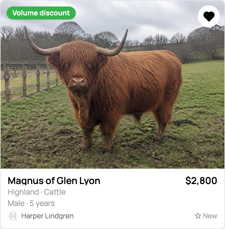 Saved animal listing with its selected heart
